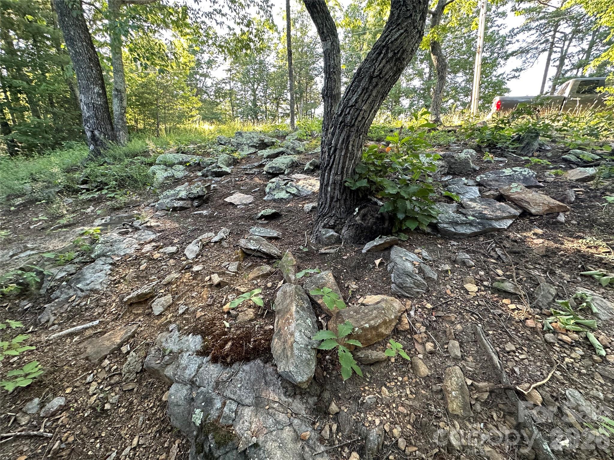 1480 Pine Mountain Drive — Connelly Springs