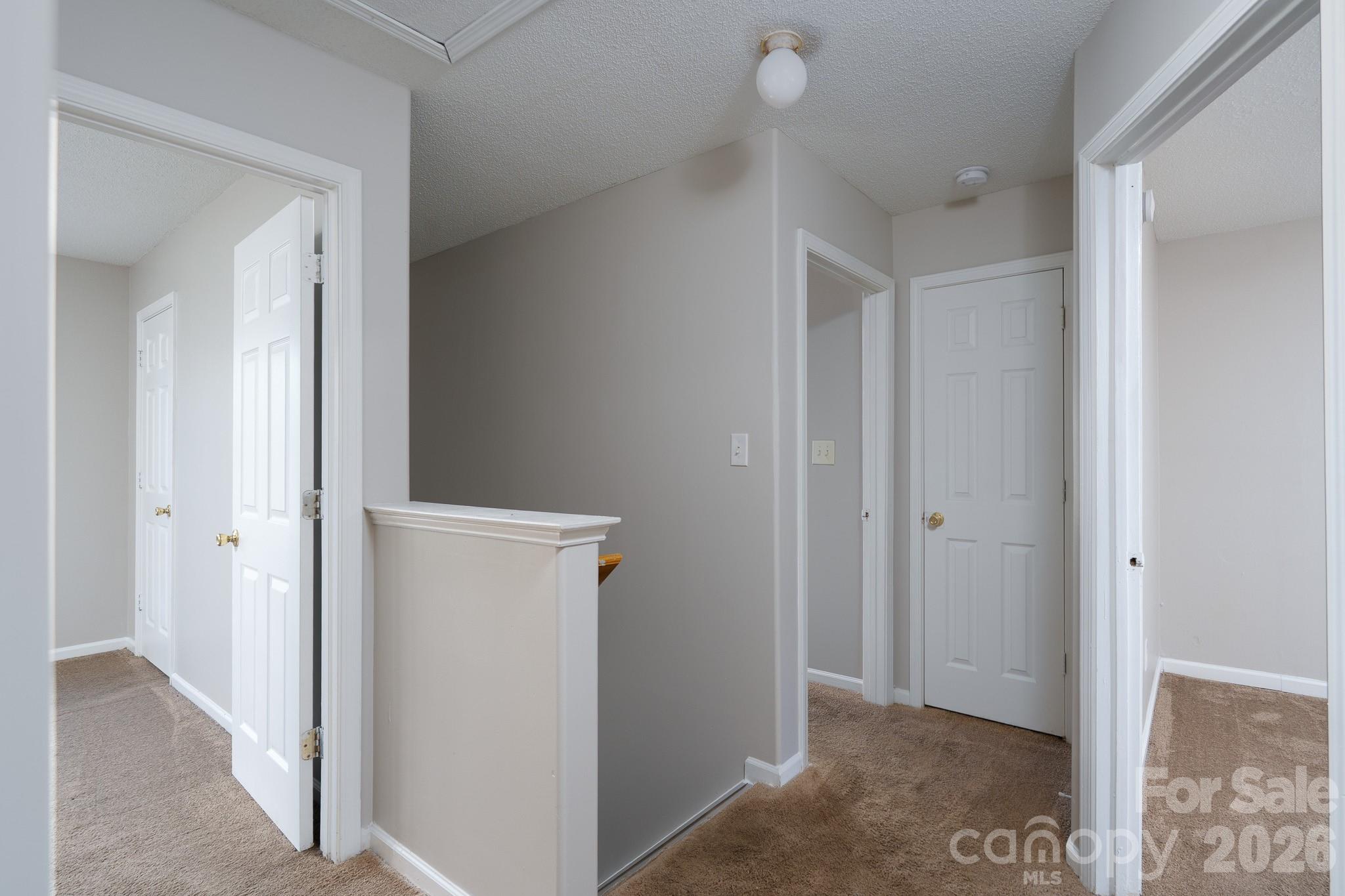 8016 Bronze Pike Drive — Charlotte