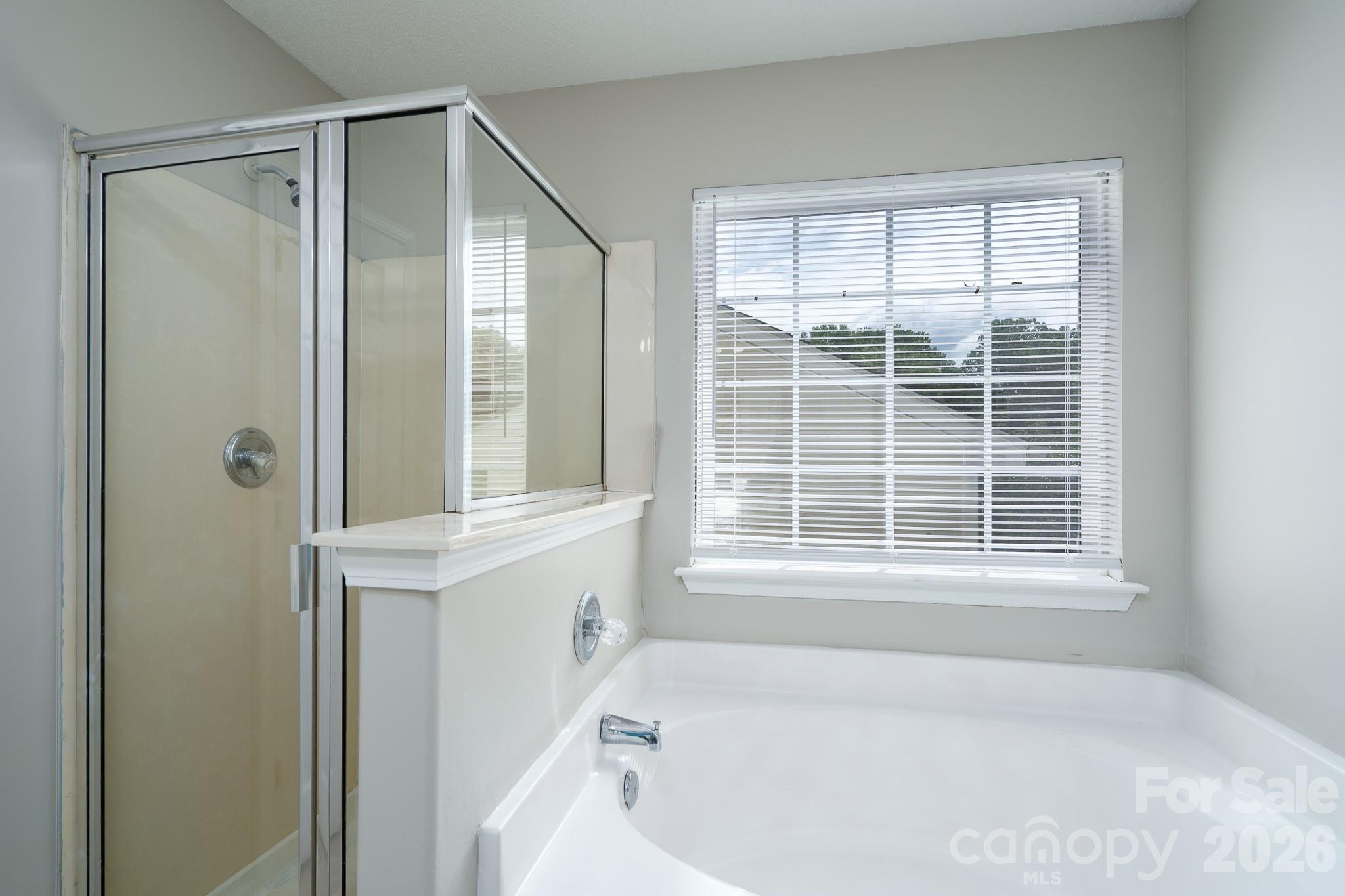 8016 Bronze Pike Drive — Charlotte