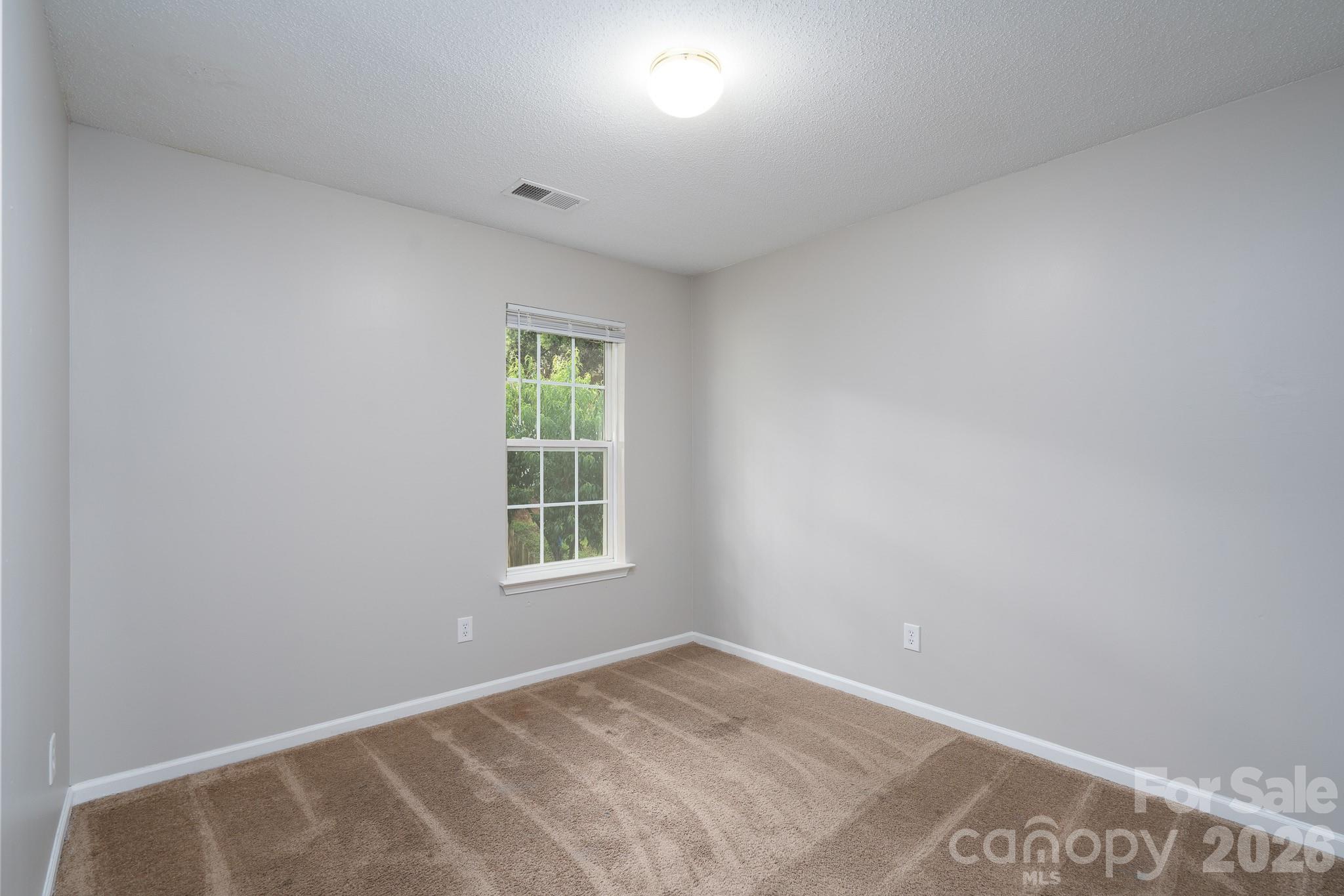 8016 Bronze Pike Drive — Charlotte