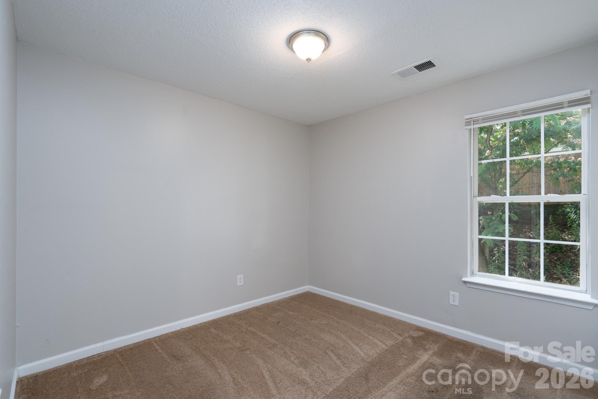 8016 Bronze Pike Drive — Charlotte