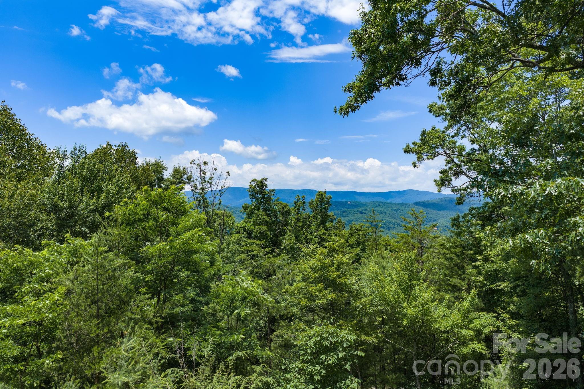 1987 Buck Mountain Road — Purlear