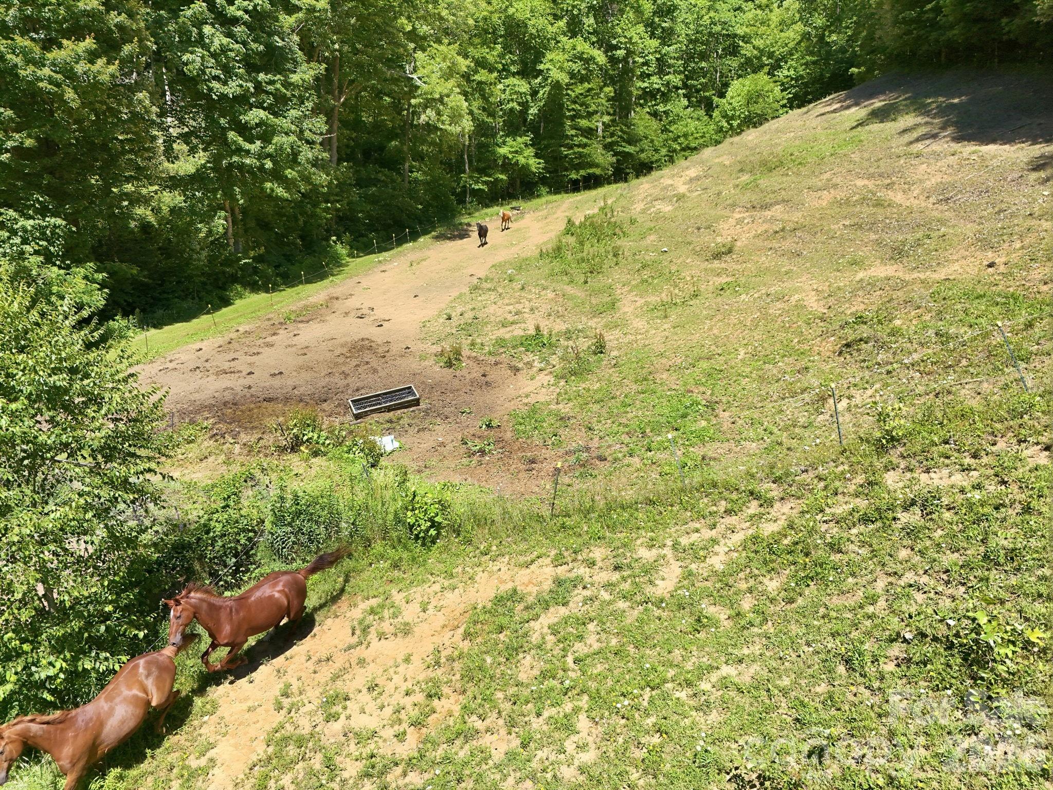1005 Smith Creek Road — Mars Hill