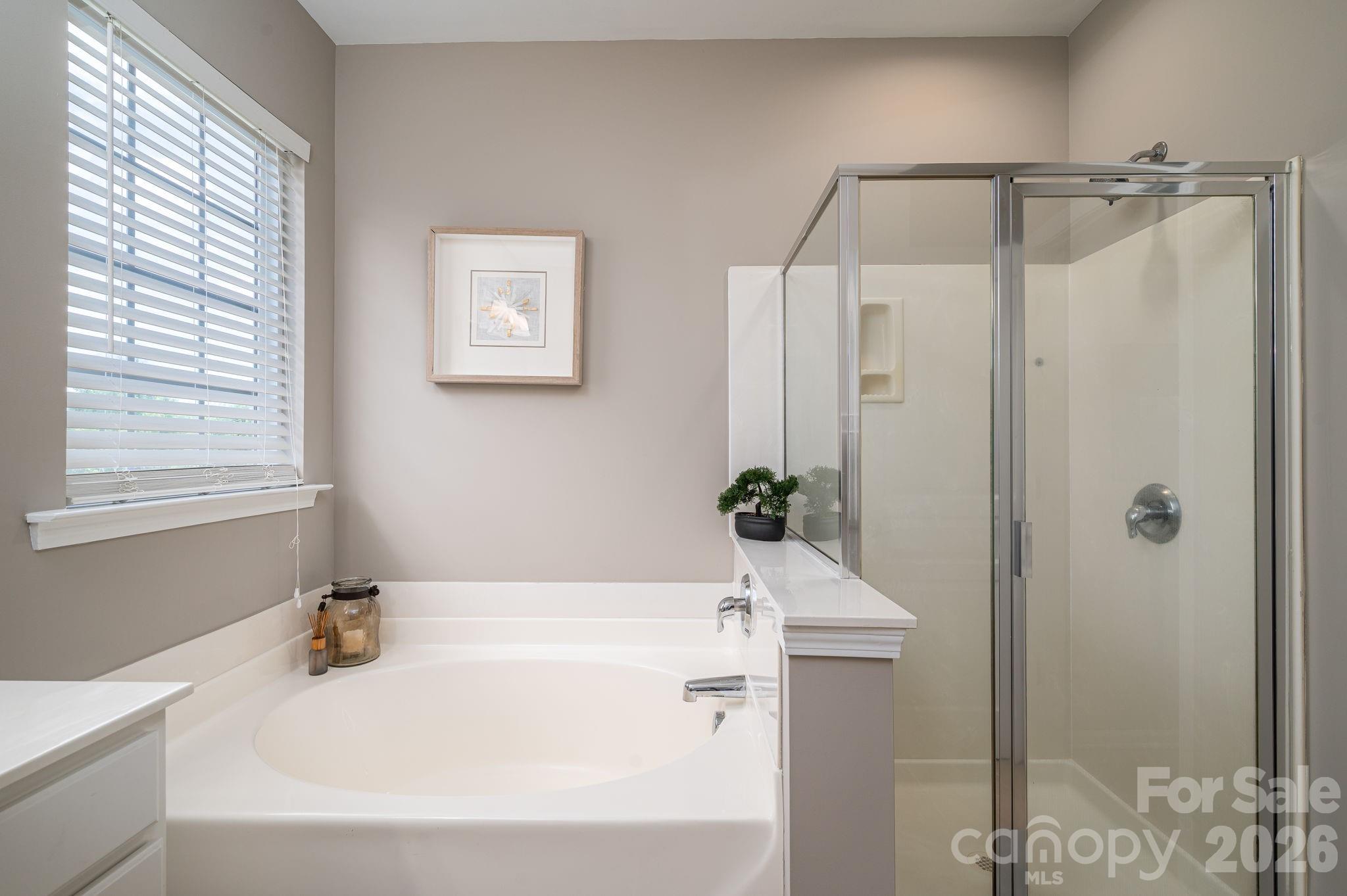 233 Park View Drive — Belmont