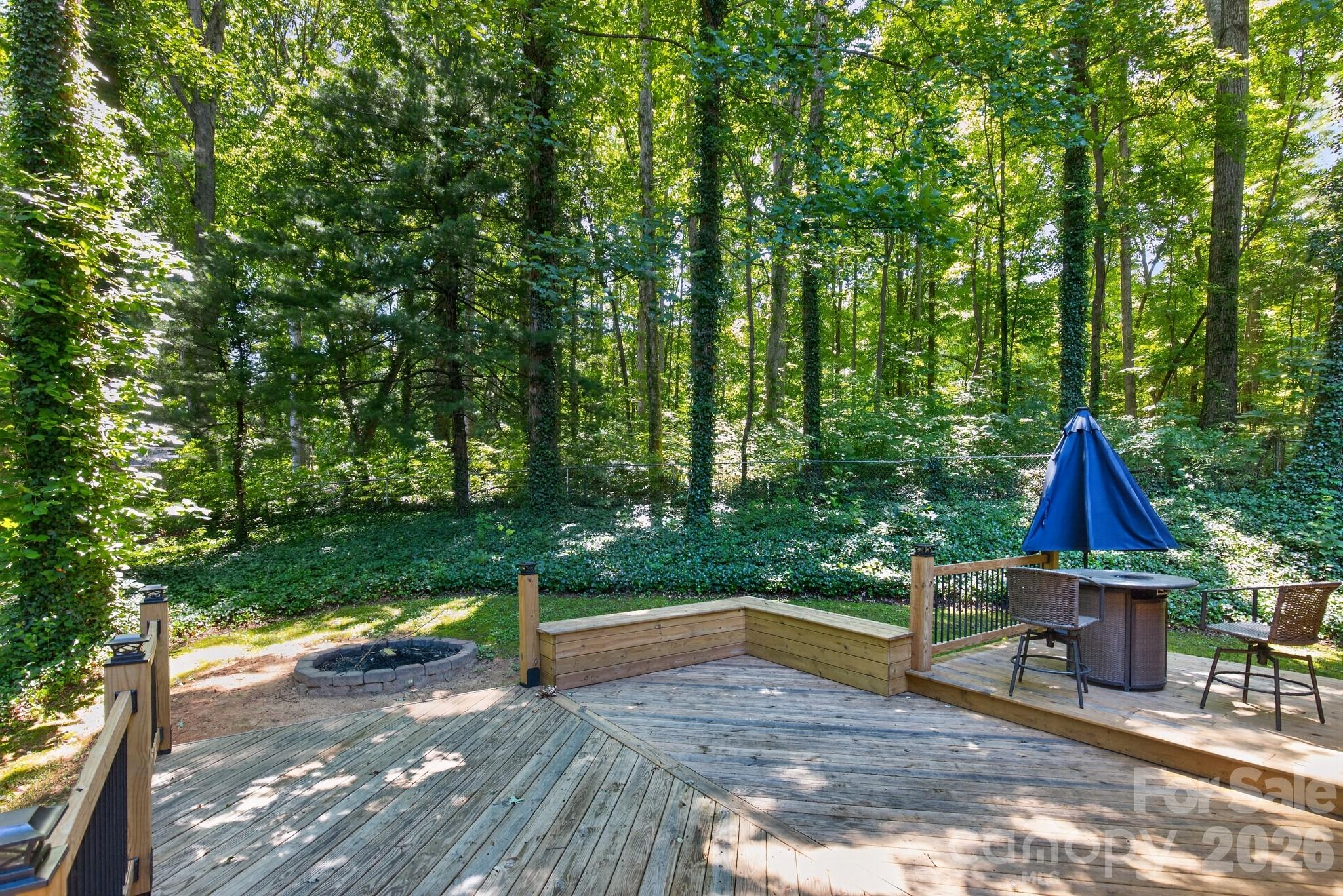 163 Canaan Drive — Candler