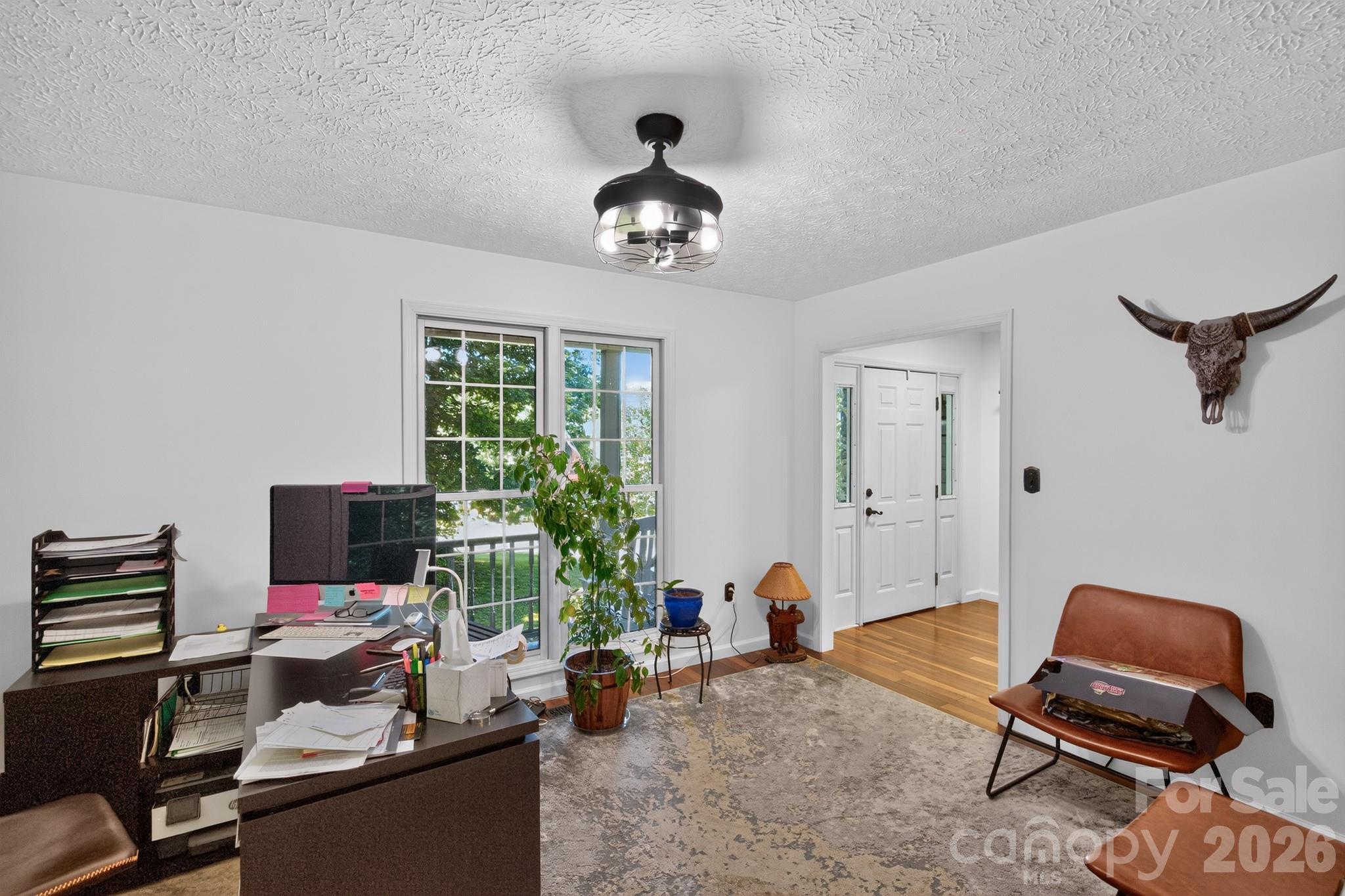 163 Canaan Drive — Candler