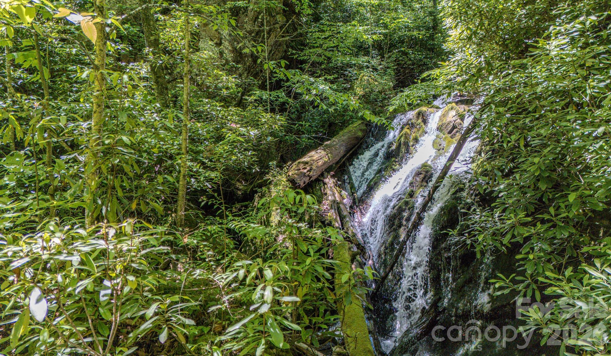 1712 Little Creek Road — Hot Springs