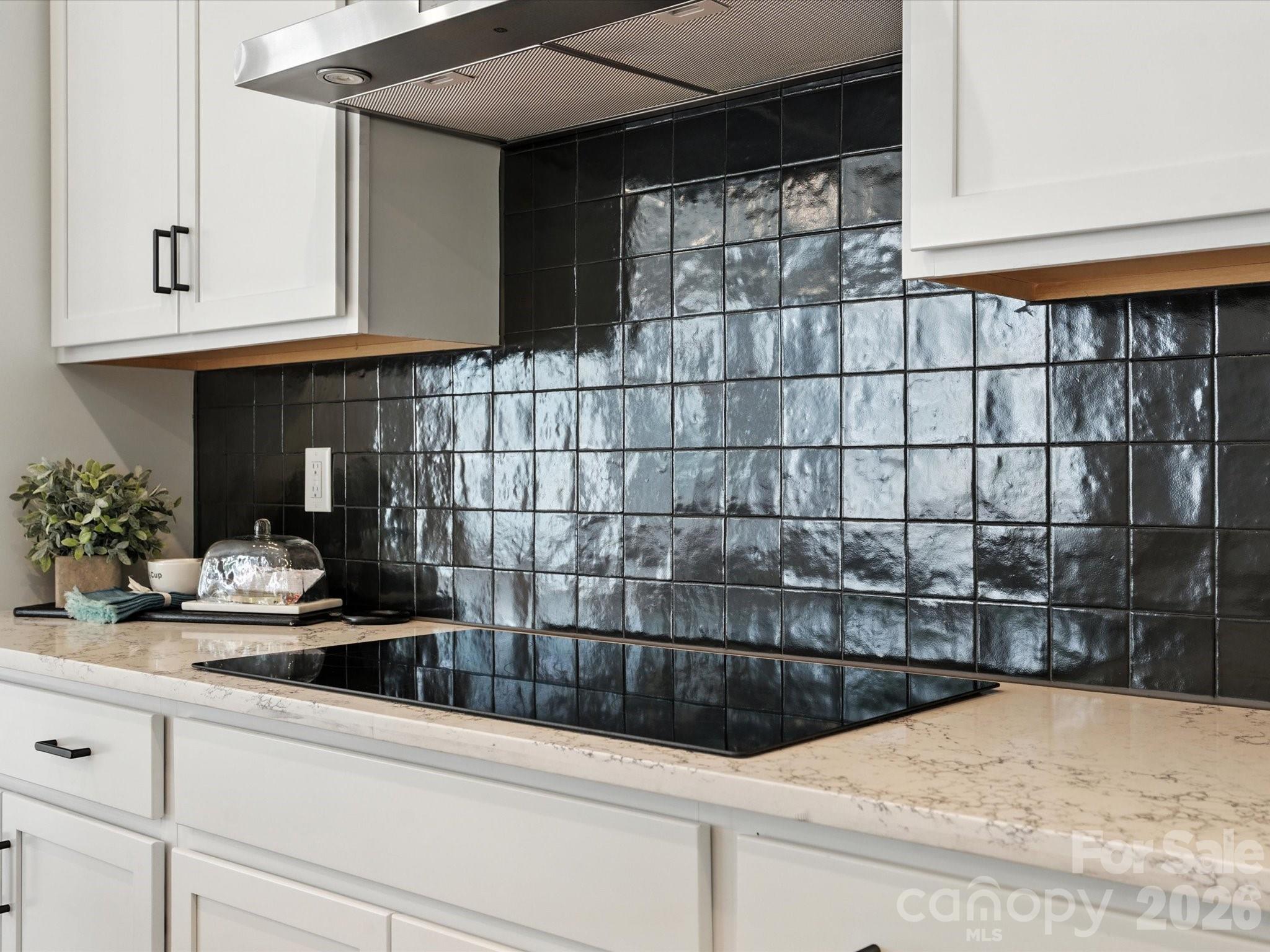7937 Cedarsmith Court — Charlotte
