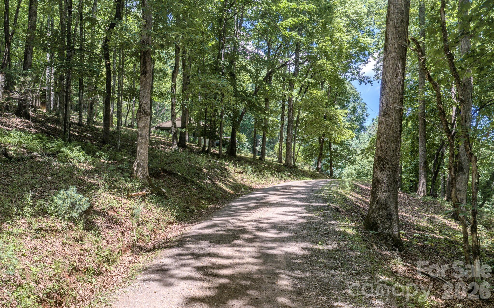 35 Coweeta Ridge Road — Otto