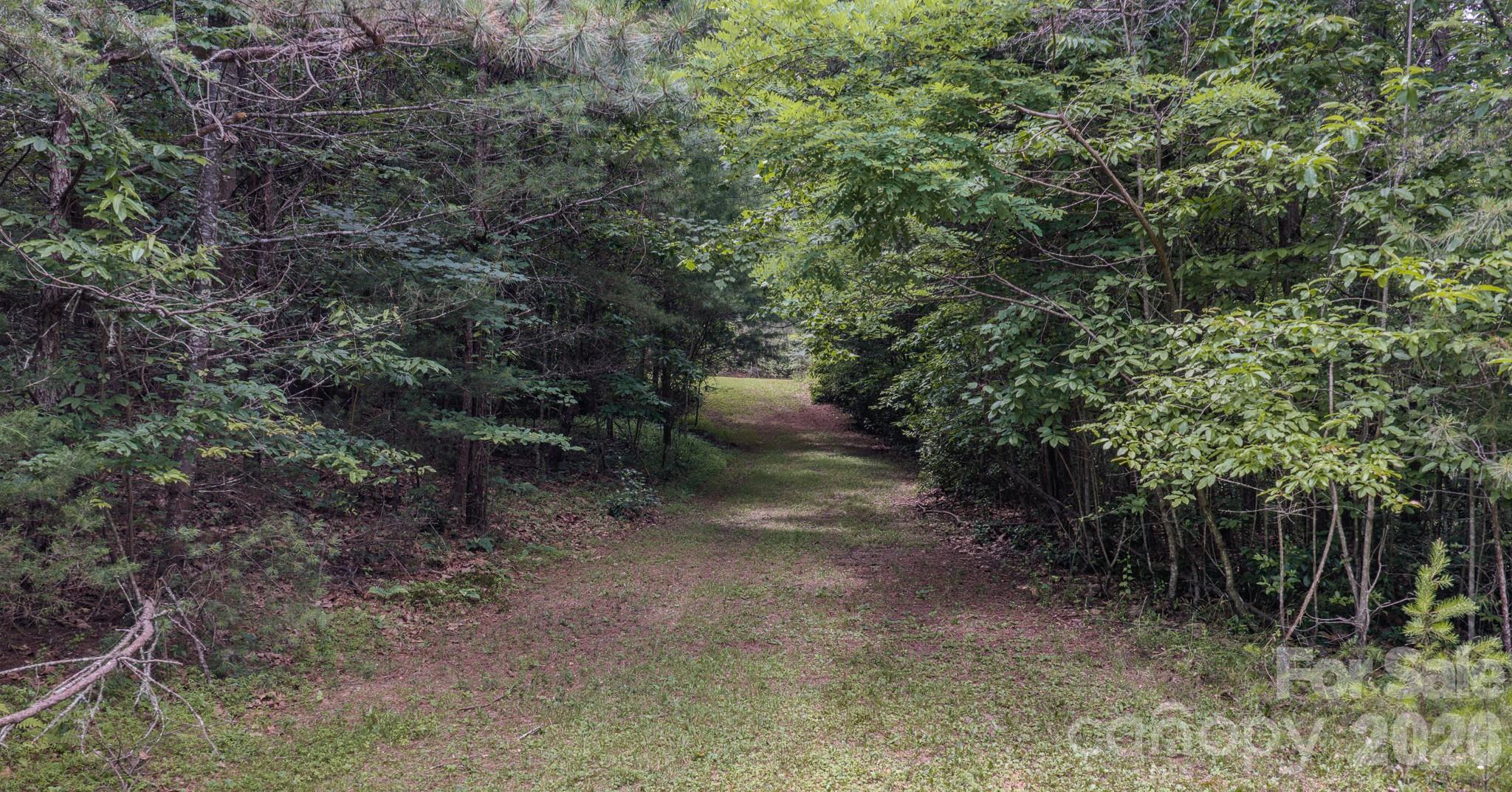 35 Coweeta Ridge Road — Otto