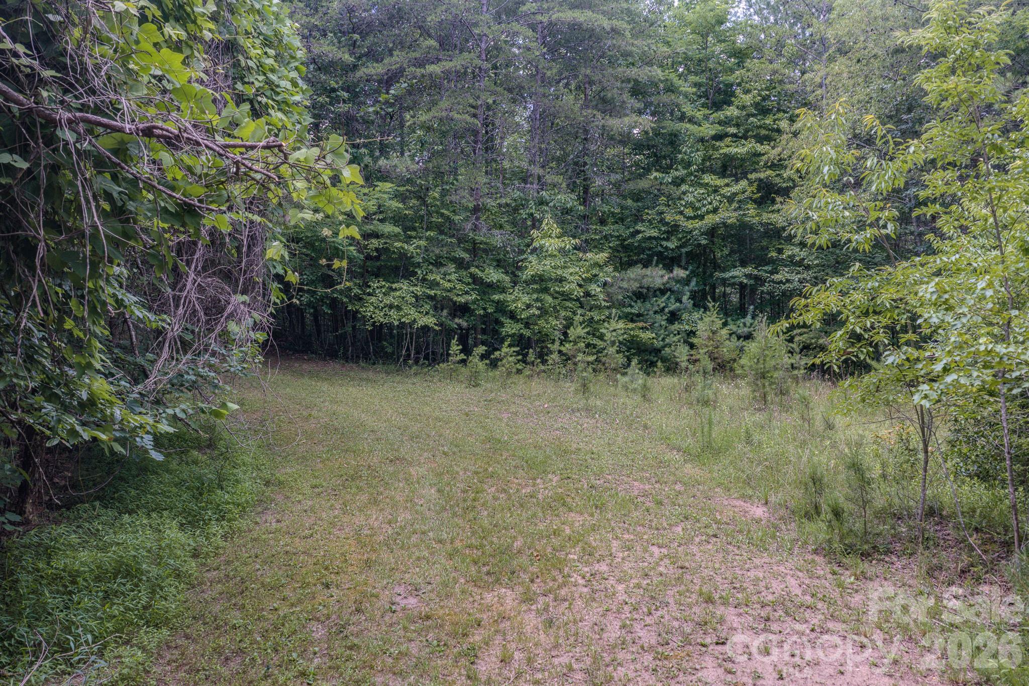 35 Coweeta Ridge Road — Otto