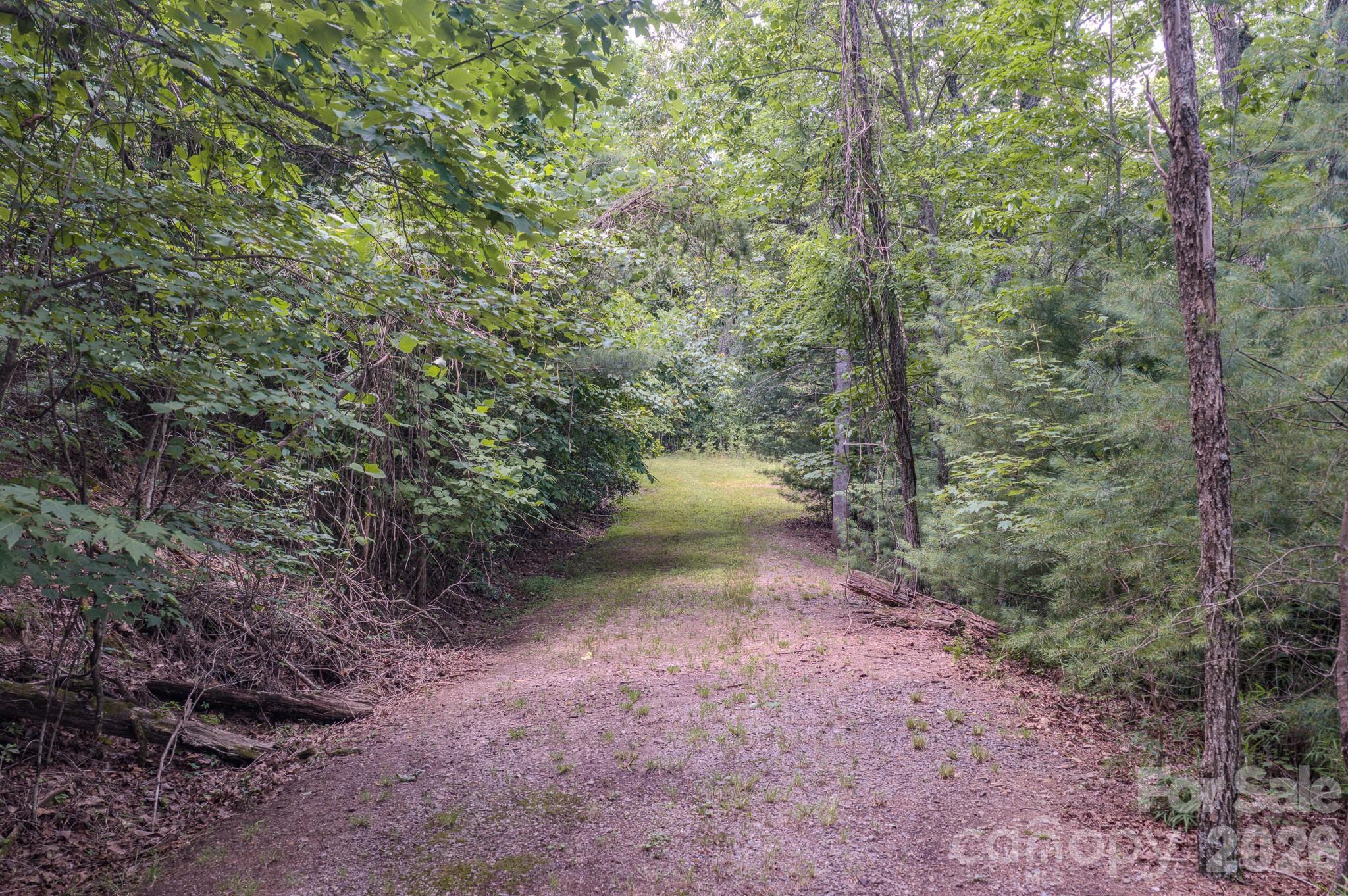 35 Coweeta Ridge Road — Otto