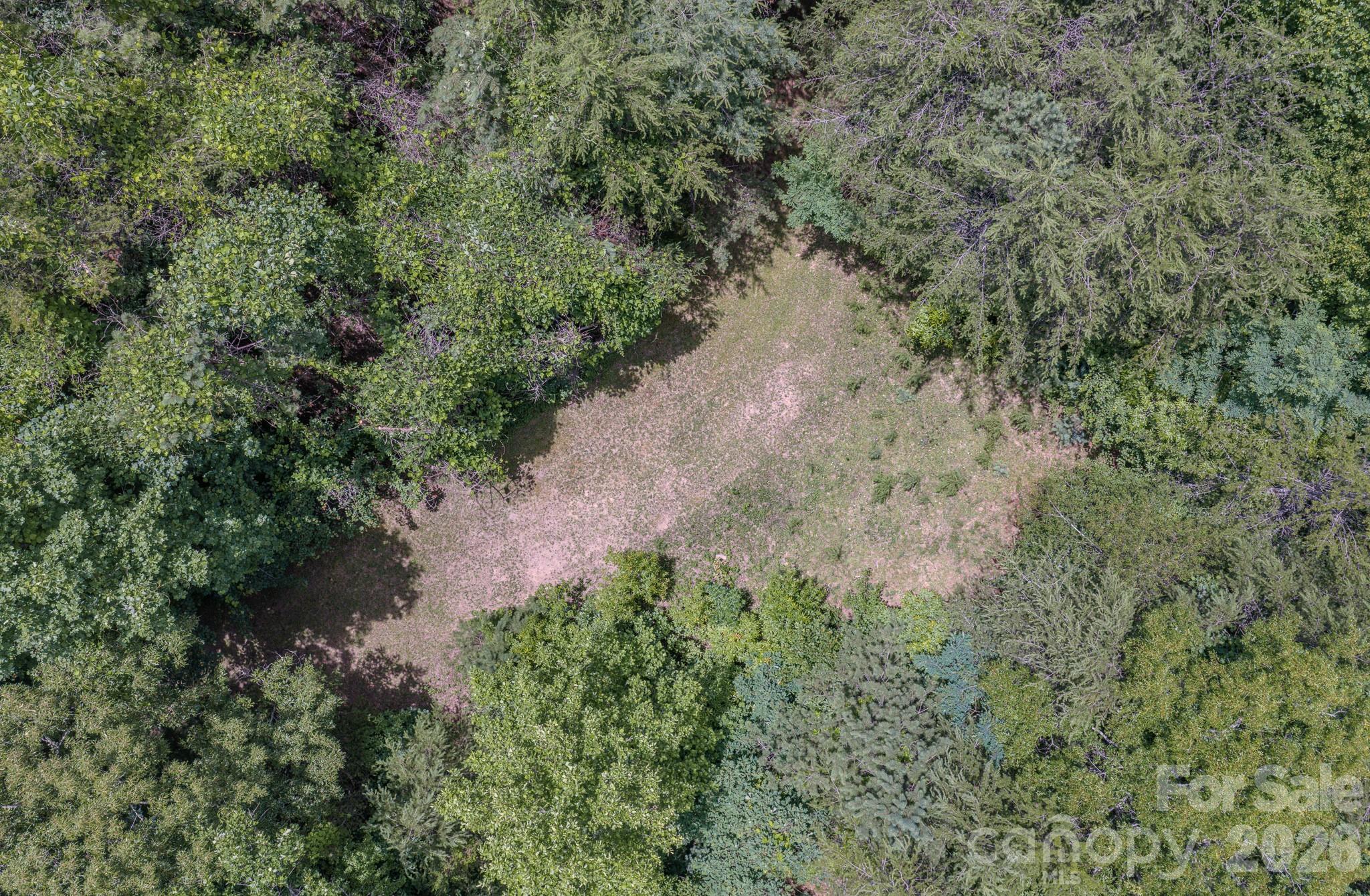 35 Coweeta Ridge Road — Otto