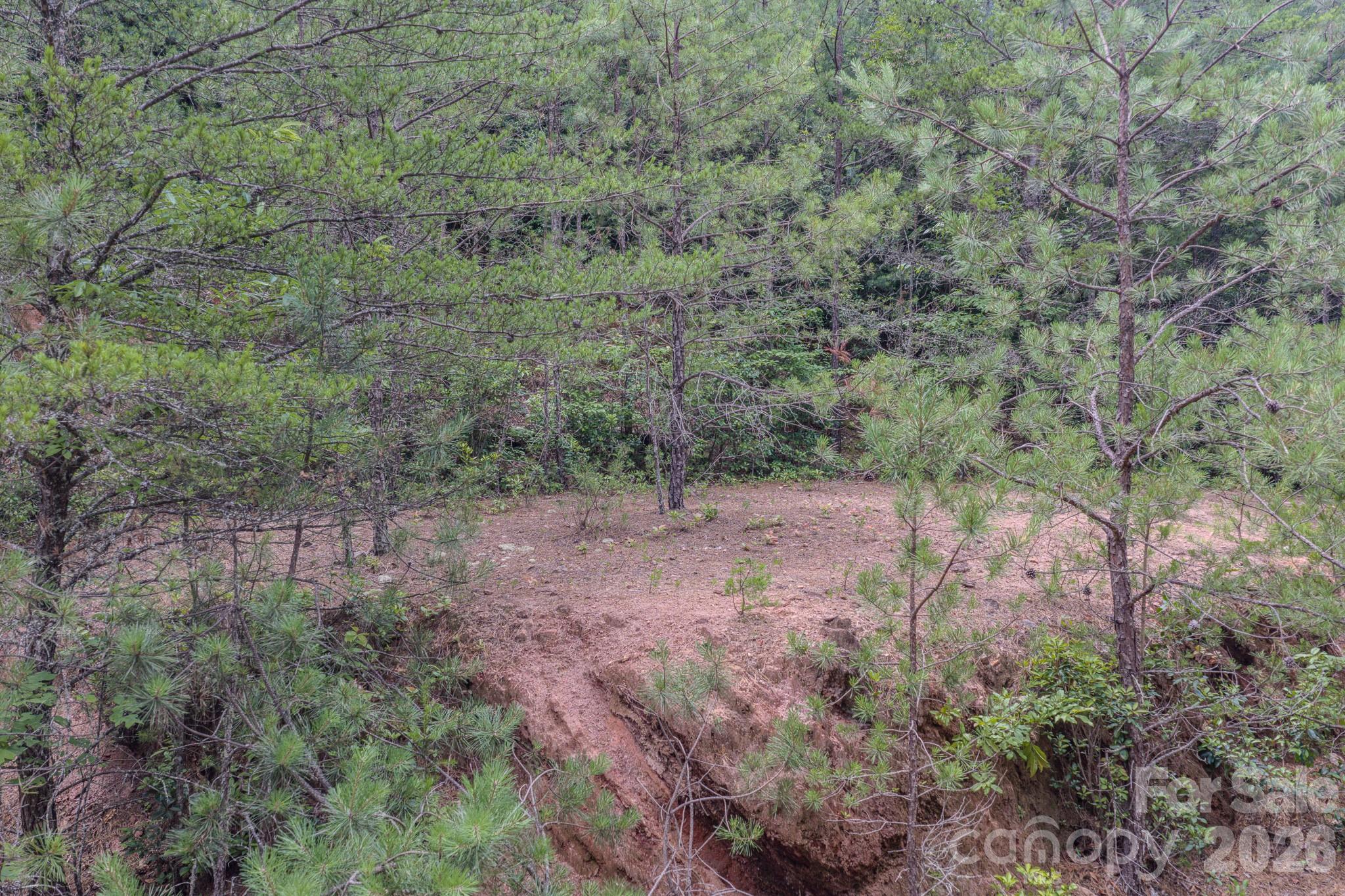 35 Coweeta Ridge Road — Otto