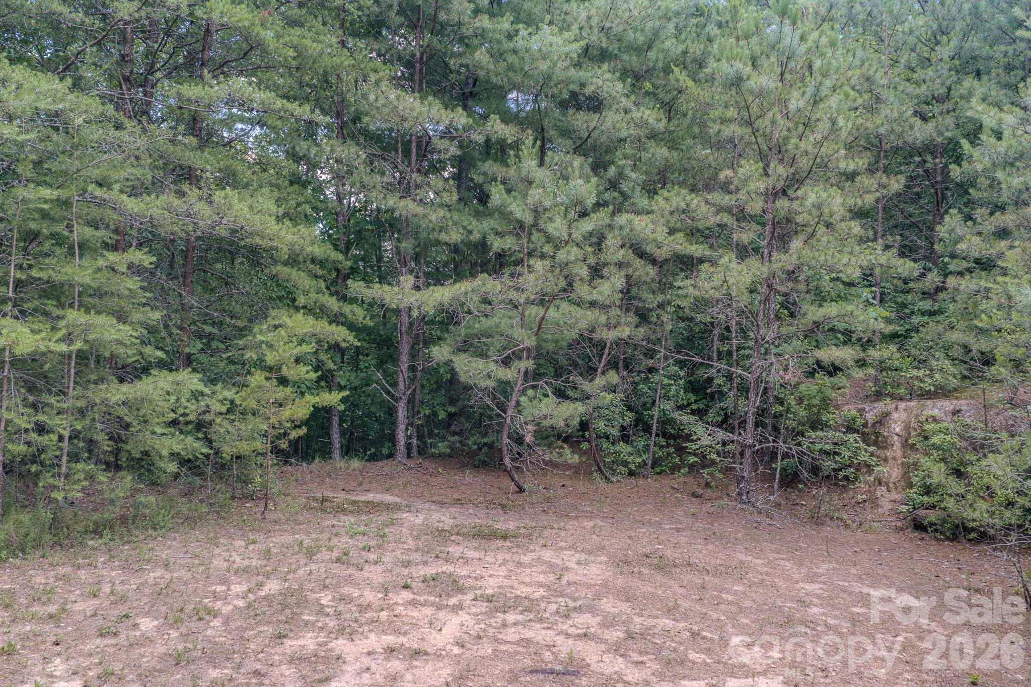 35 Coweeta Ridge Road — Otto