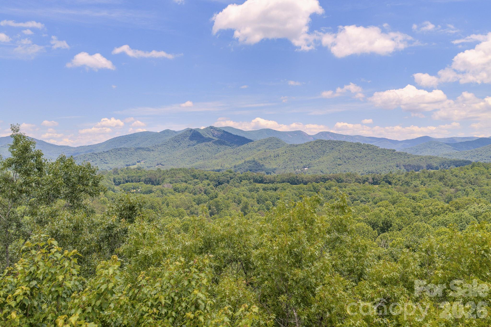 35 Coweeta Ridge Road — Otto