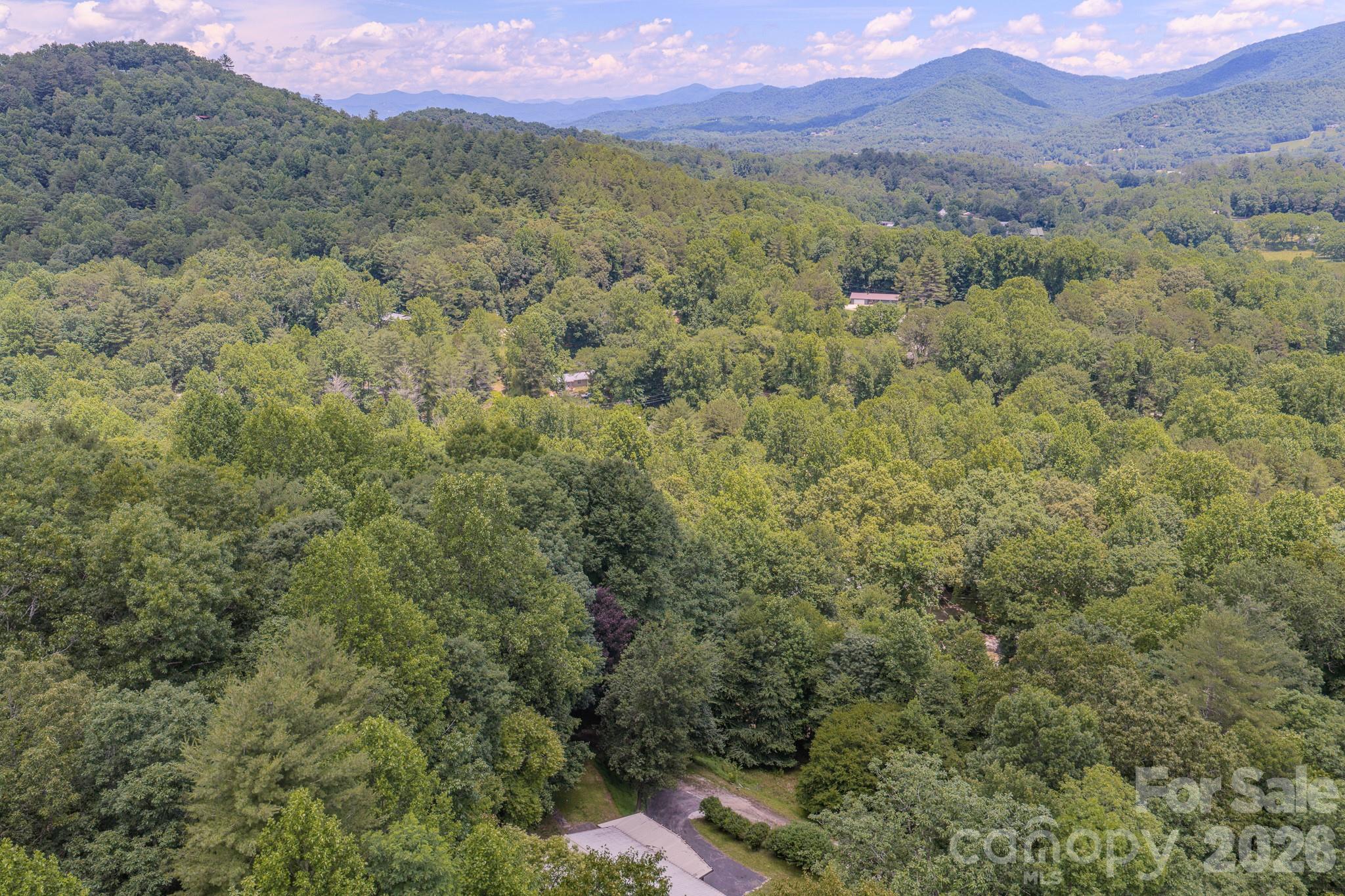 35 Coweeta Ridge Road — Otto