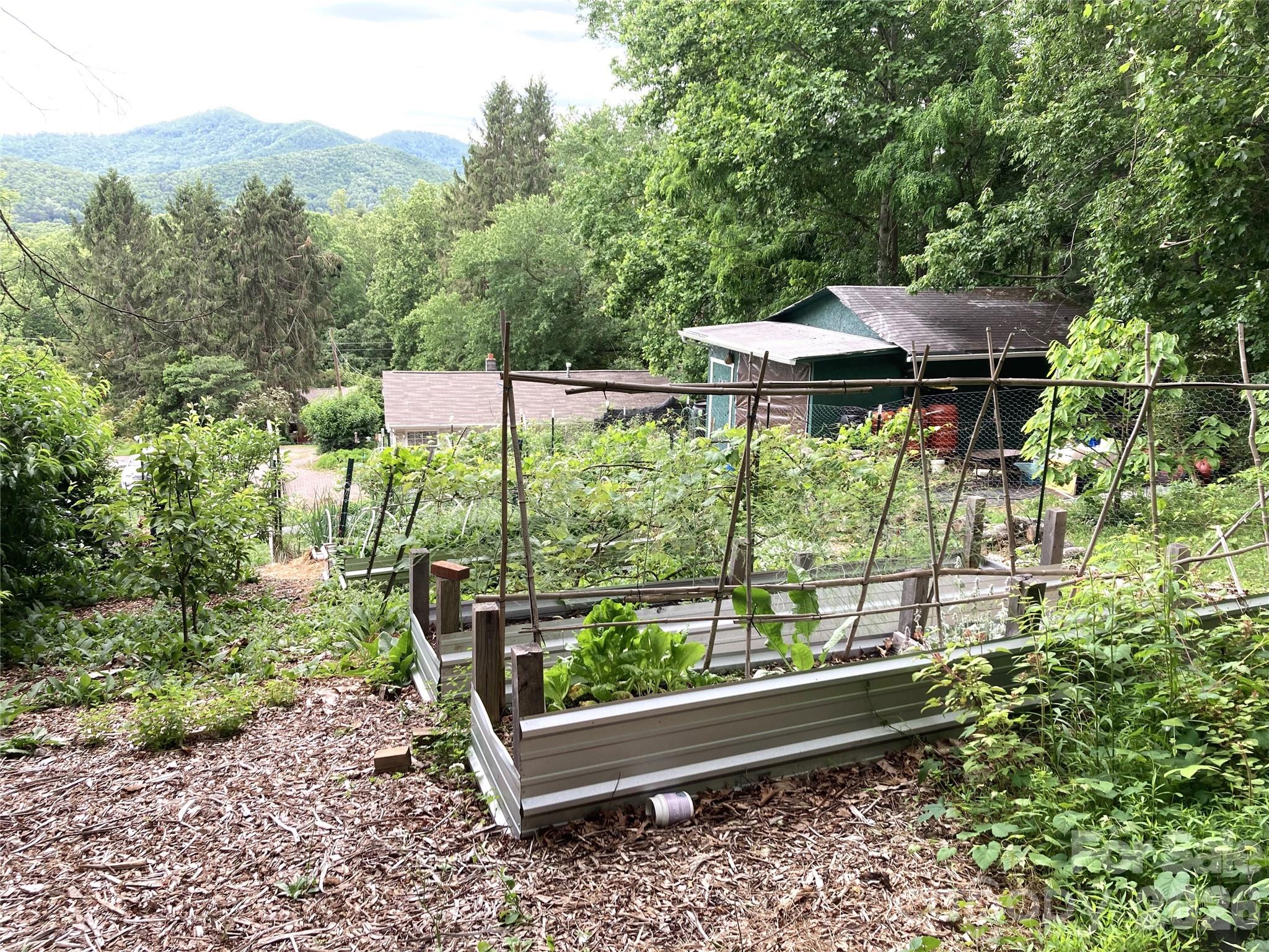 658 Enka Lake Road — Candler