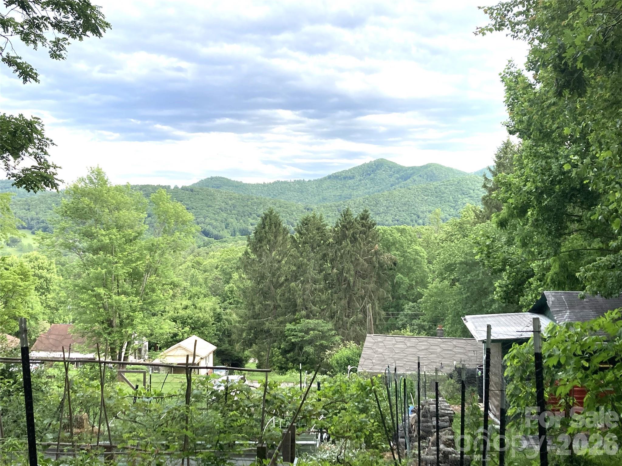 658 Enka Lake Road — Candler