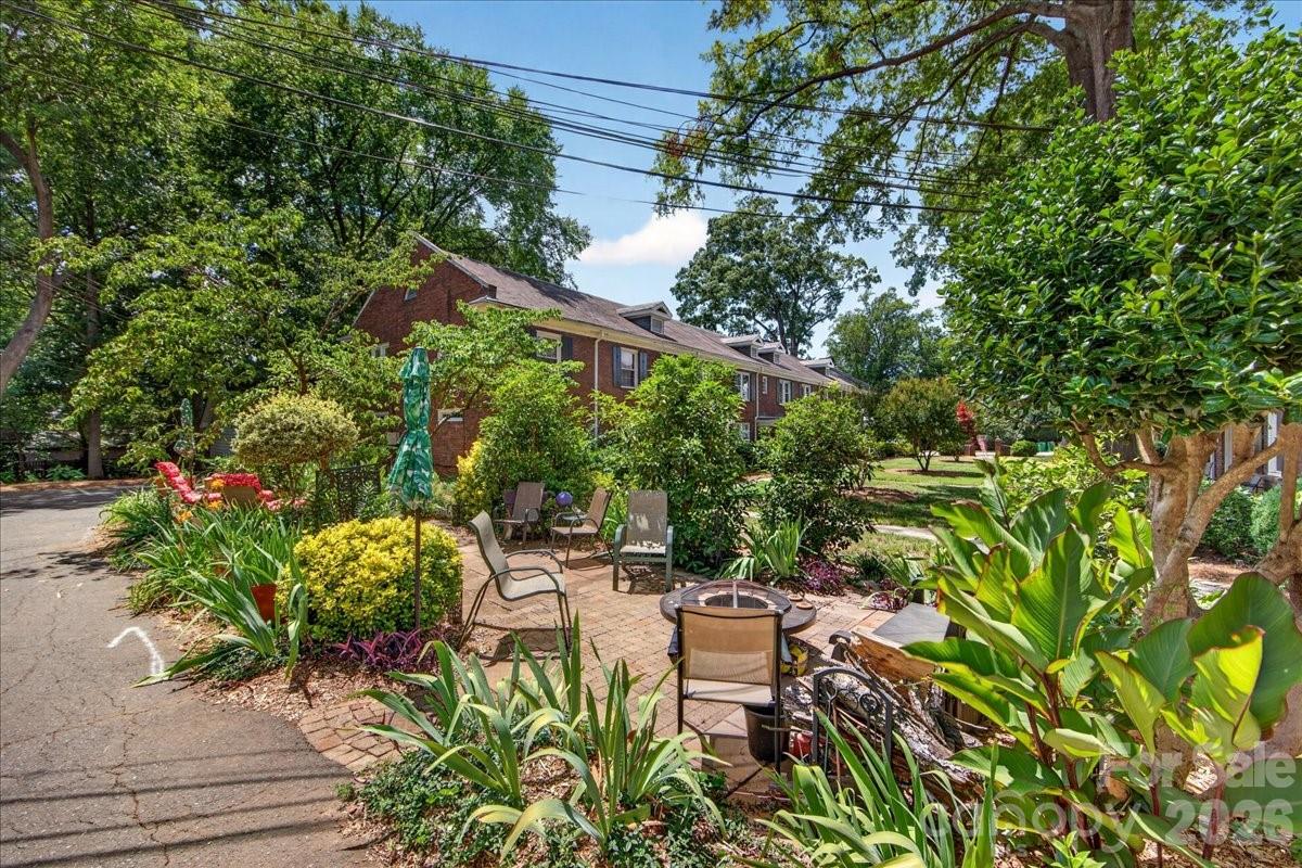 524 Hawthorne Lane #9 — Charlotte