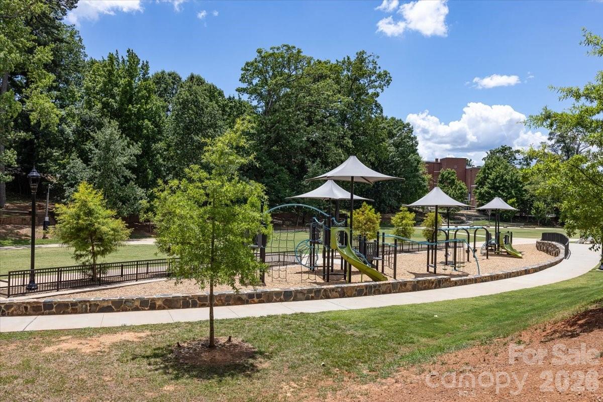 524 Hawthorne Lane #9 — Charlotte