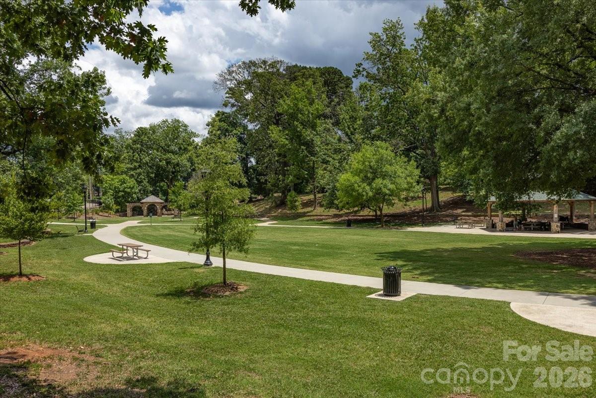 524 Hawthorne Lane #9 — Charlotte