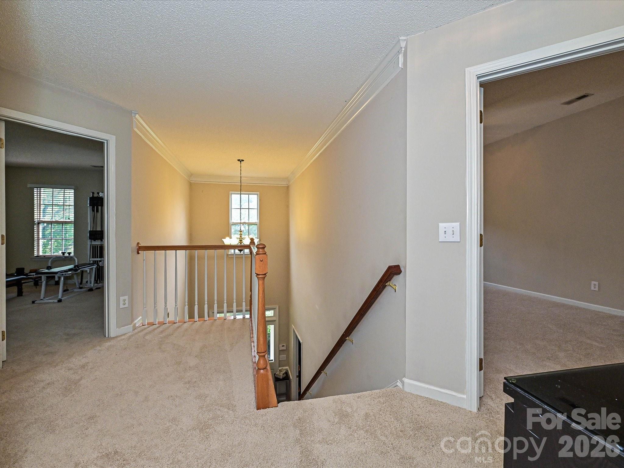 6719 Reedy Creek Road — Charlotte