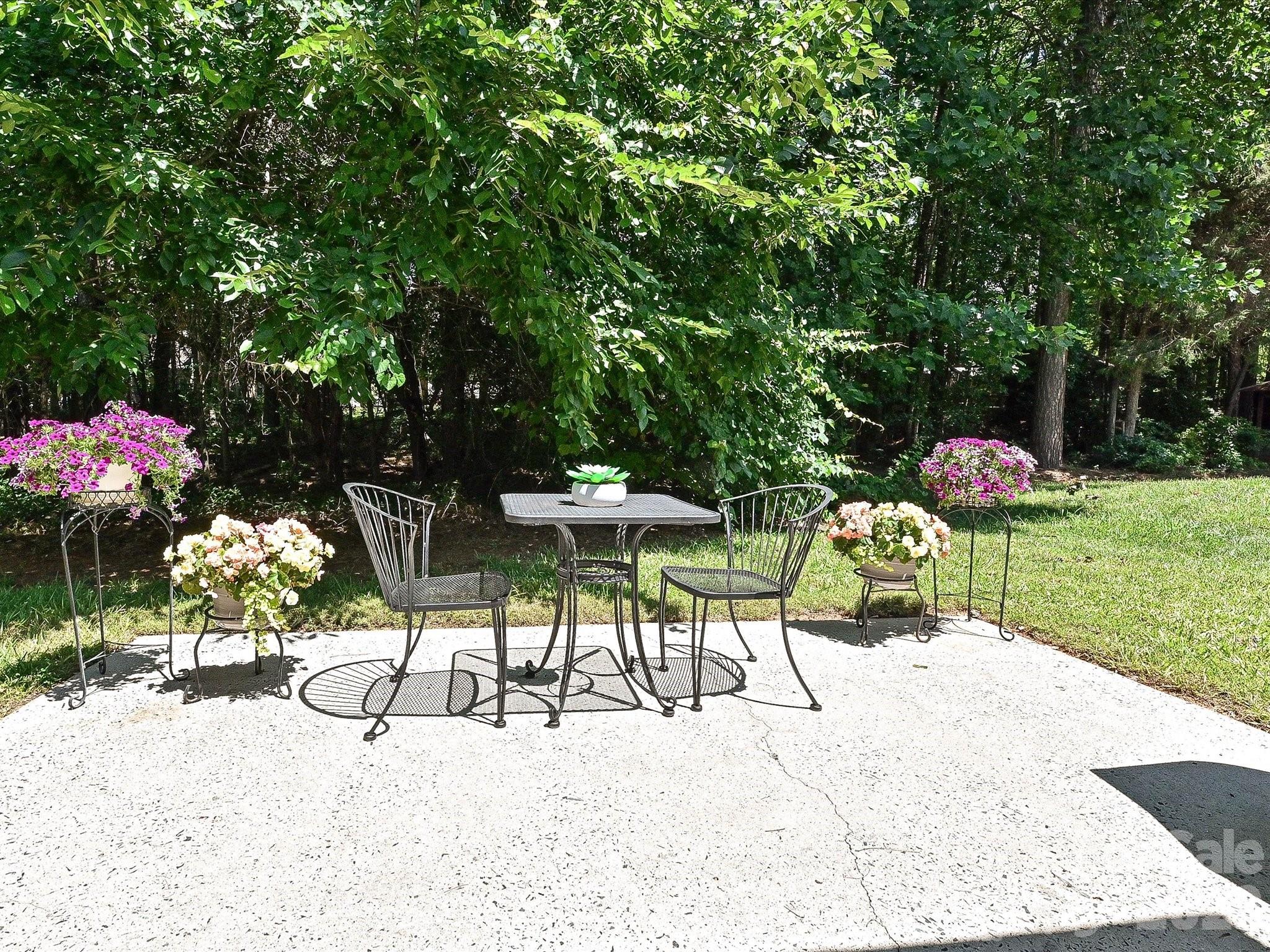 6719 Reedy Creek Road — Charlotte