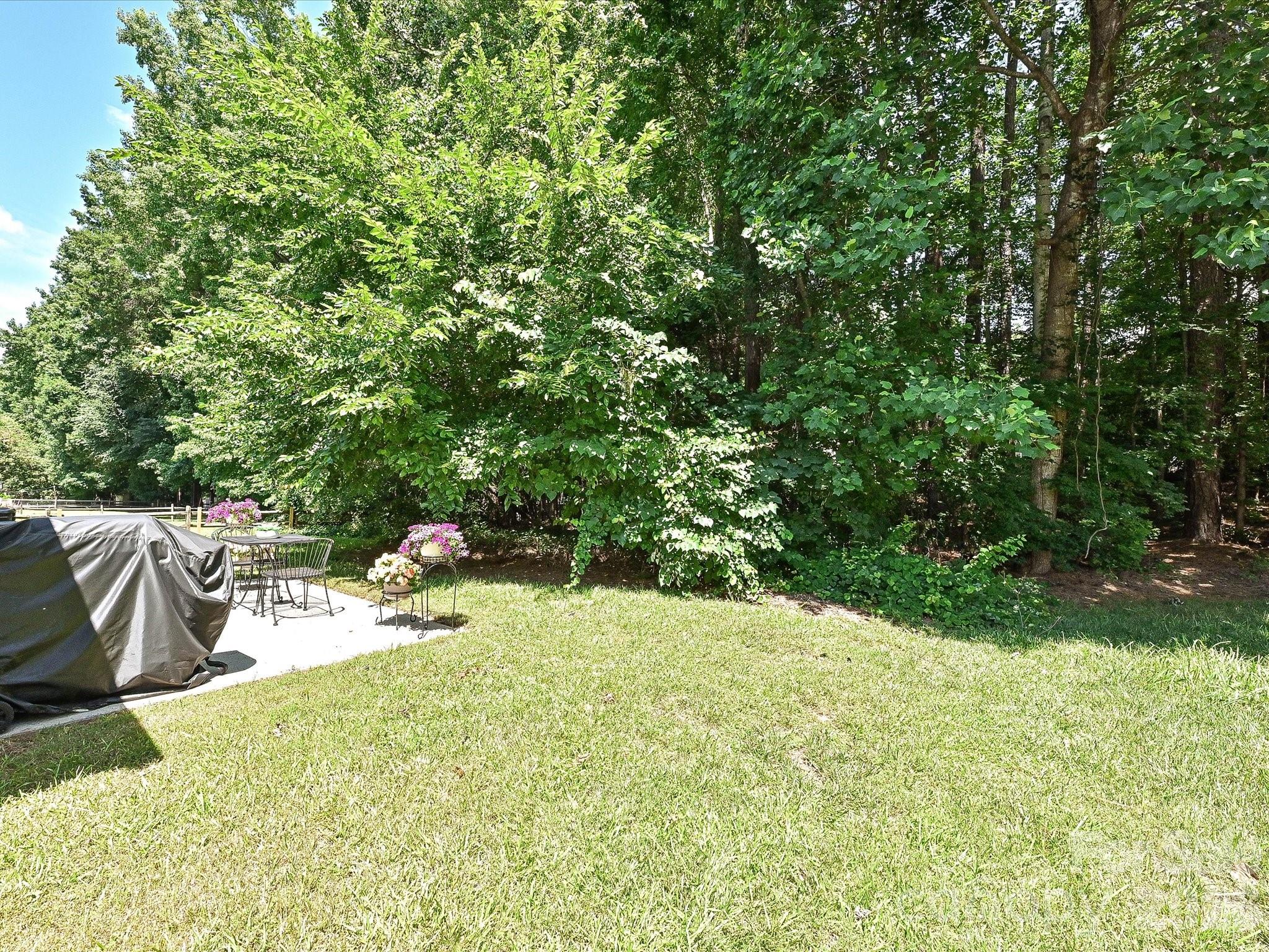 6719 Reedy Creek Road — Charlotte
