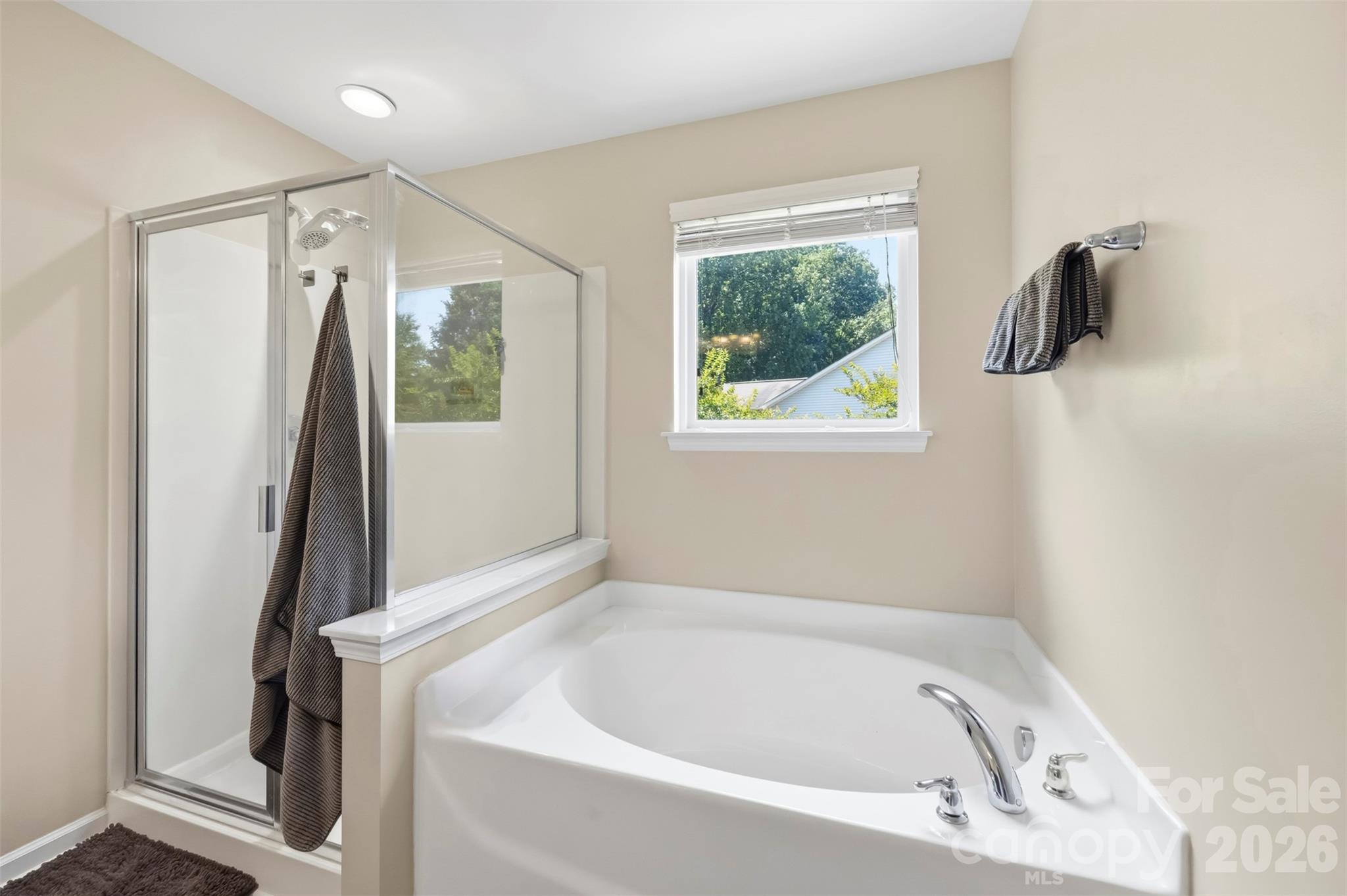 11206 Pond Valley Court — Charlotte