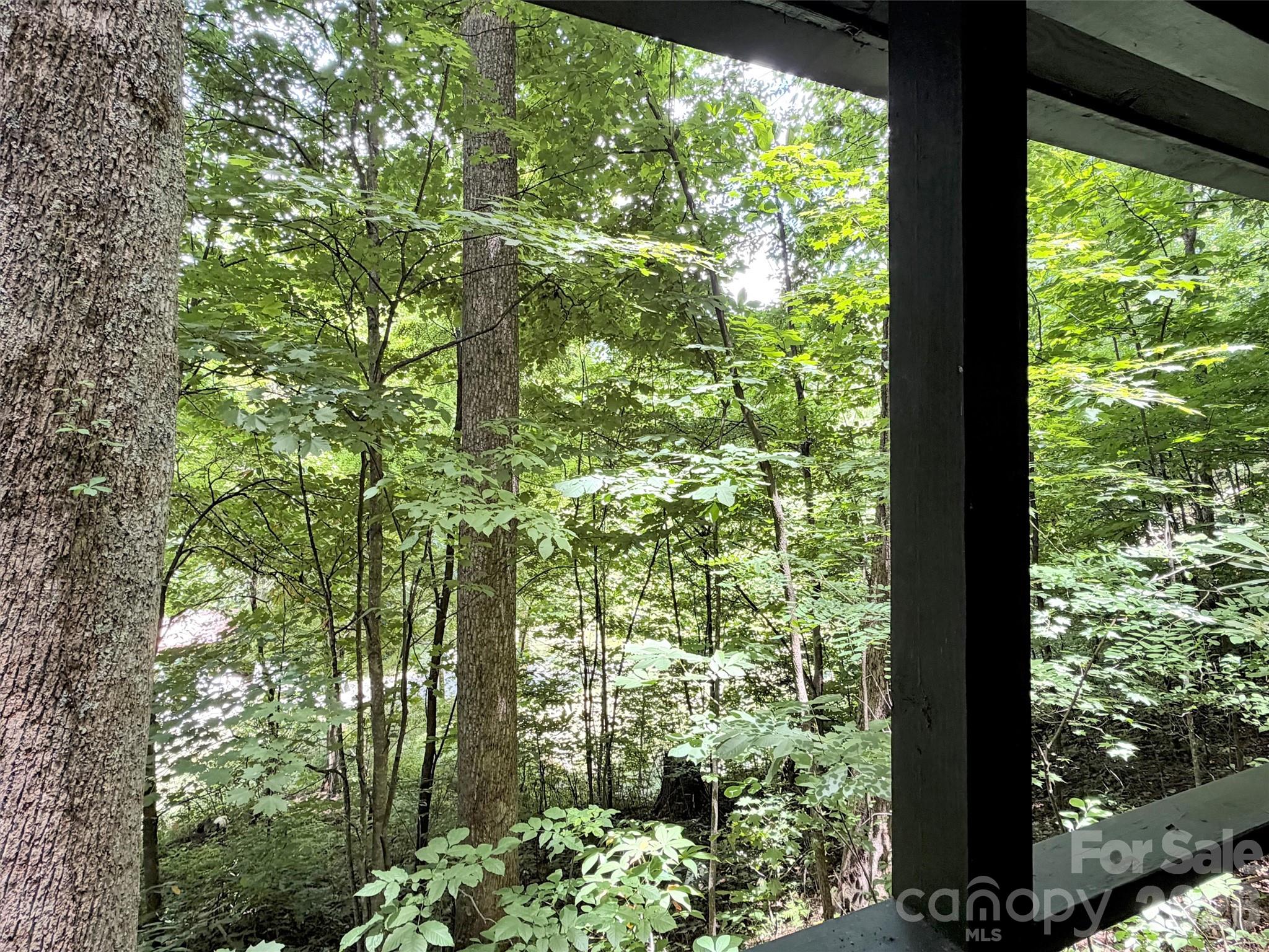 279 Rocky Top Road — Maggie Valley