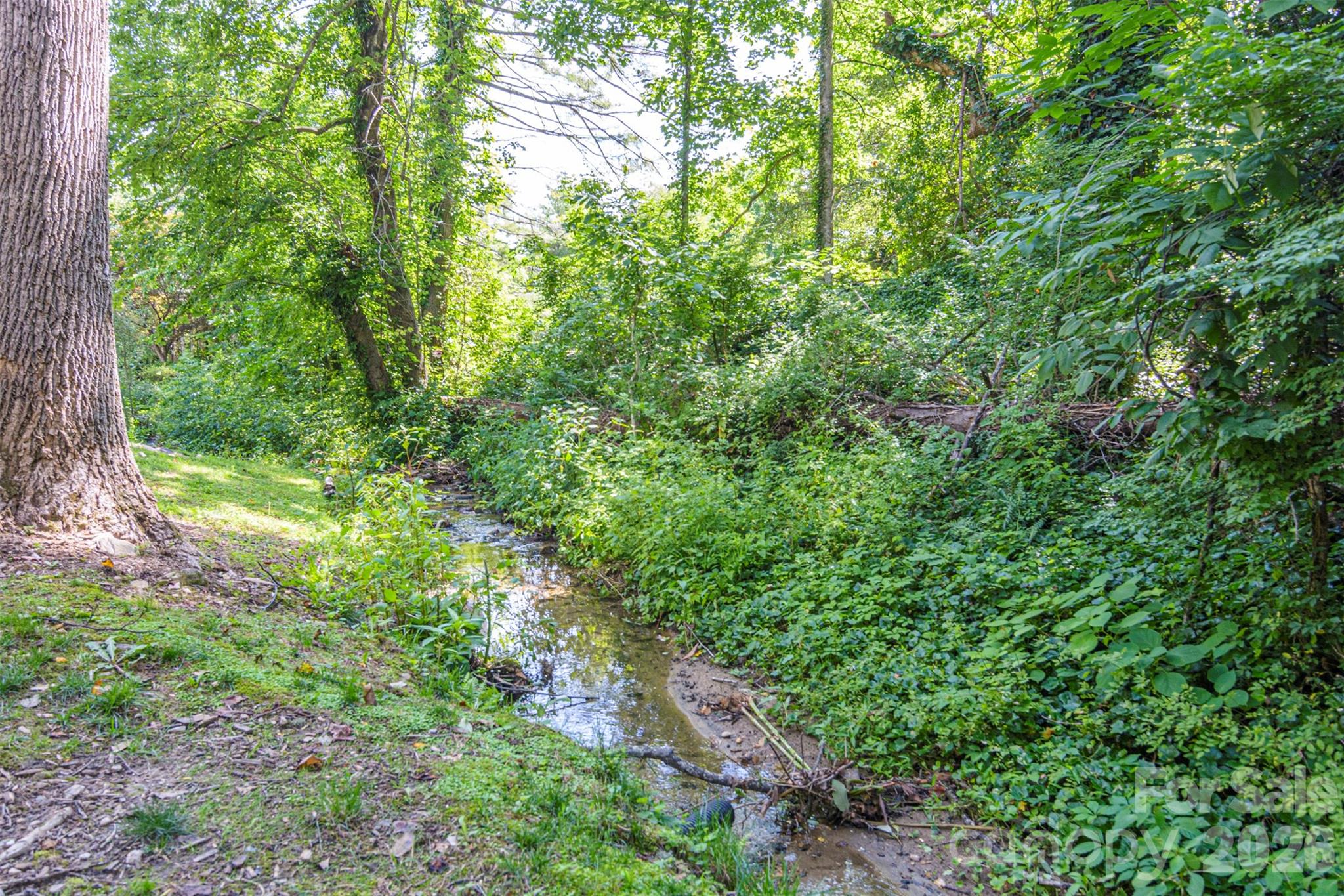55 Lake Drive #P2 — Laurel Park