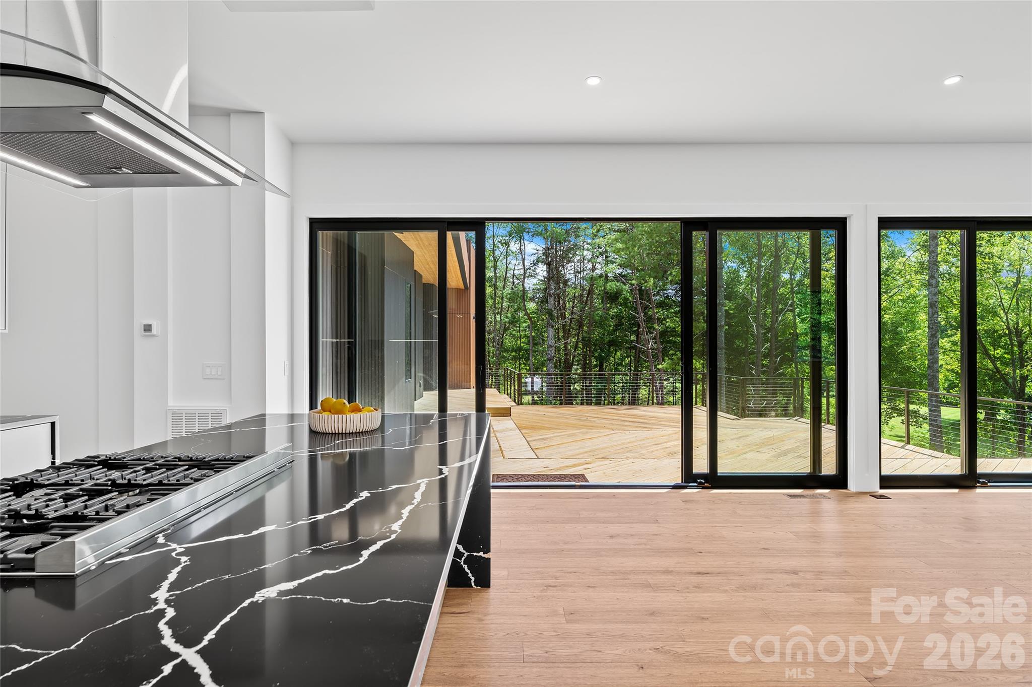 78 Manchester Way — Mills River