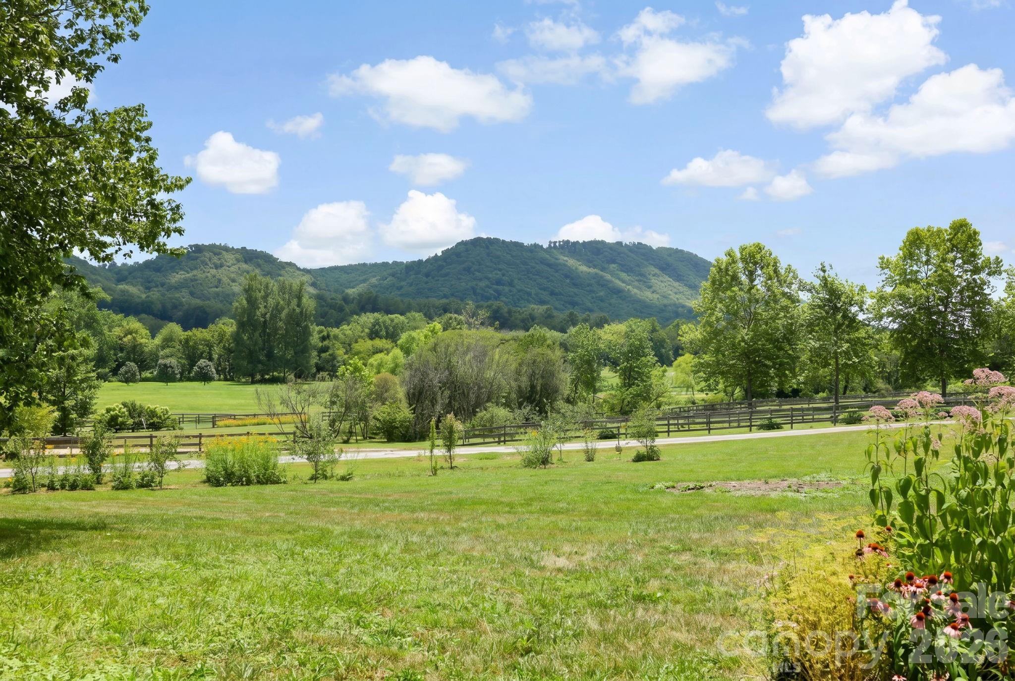 114 Cane Creek Ranch Drive — Fletcher