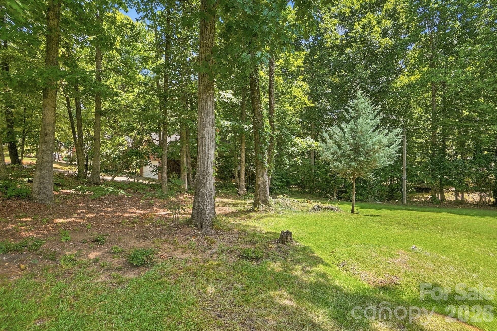 701 Blue Rock Drive — Charlotte