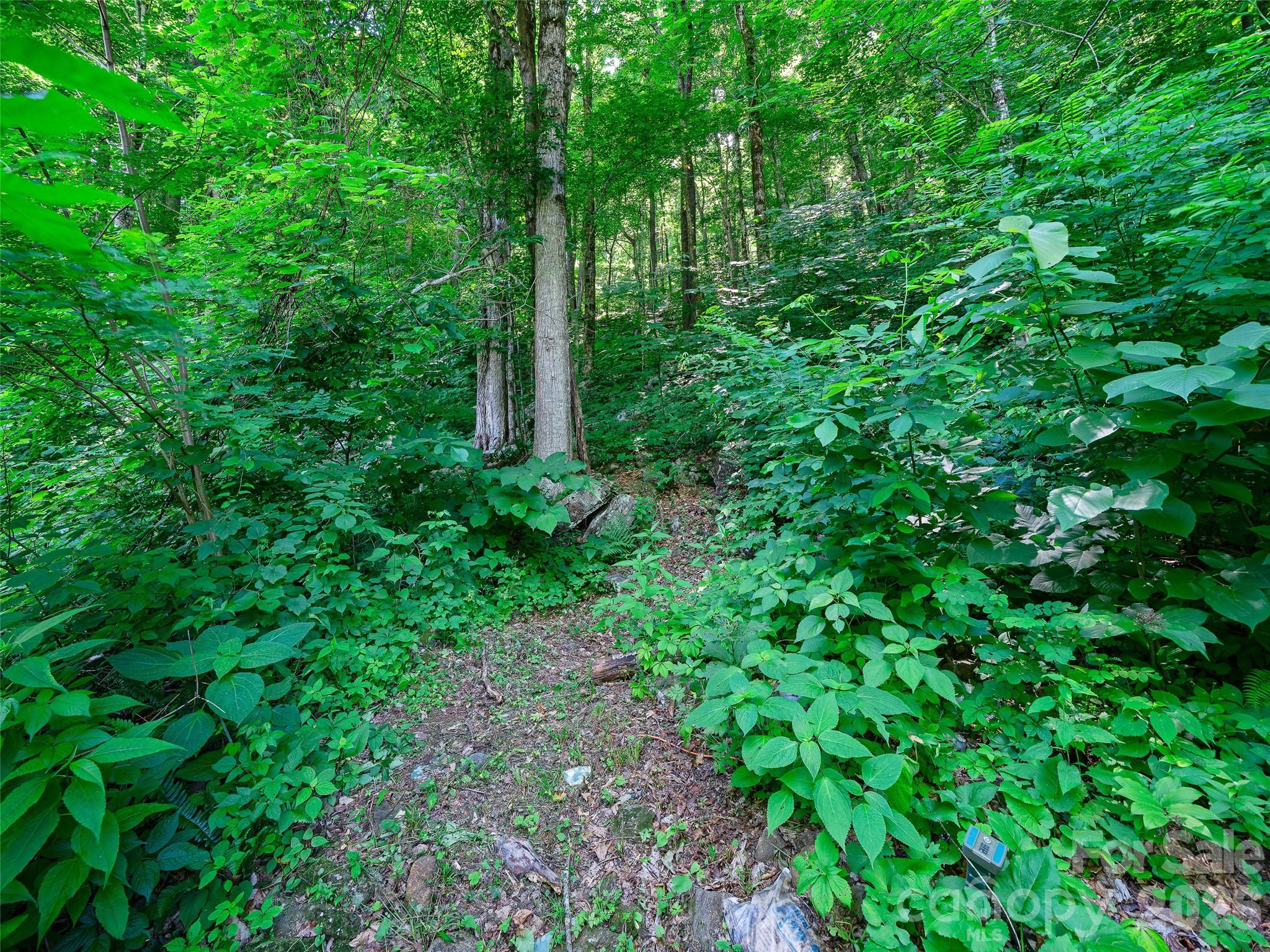 311 Old Sawmill Road — Burnsville