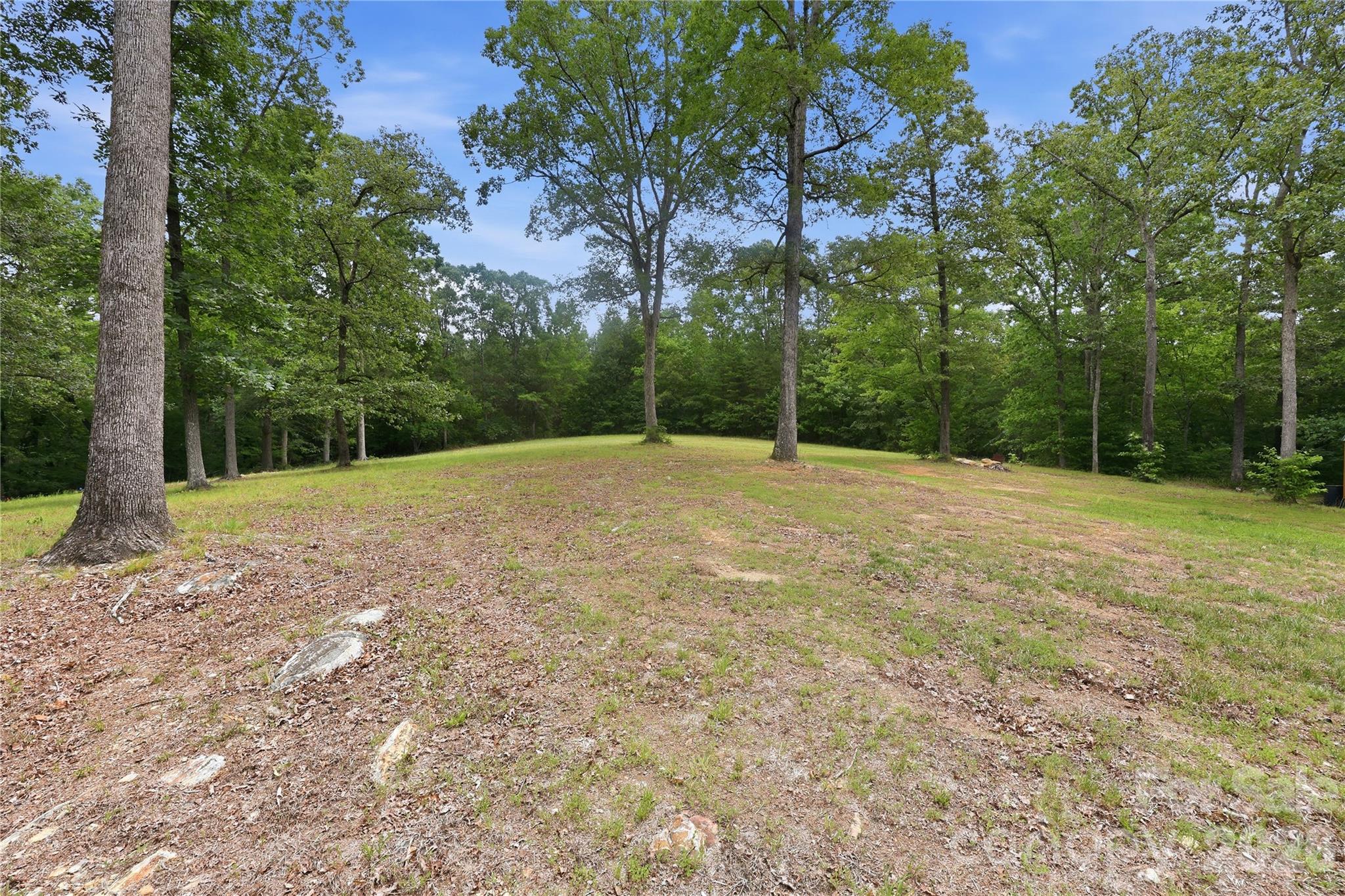 25611 Bridgeport Road — Albemarle