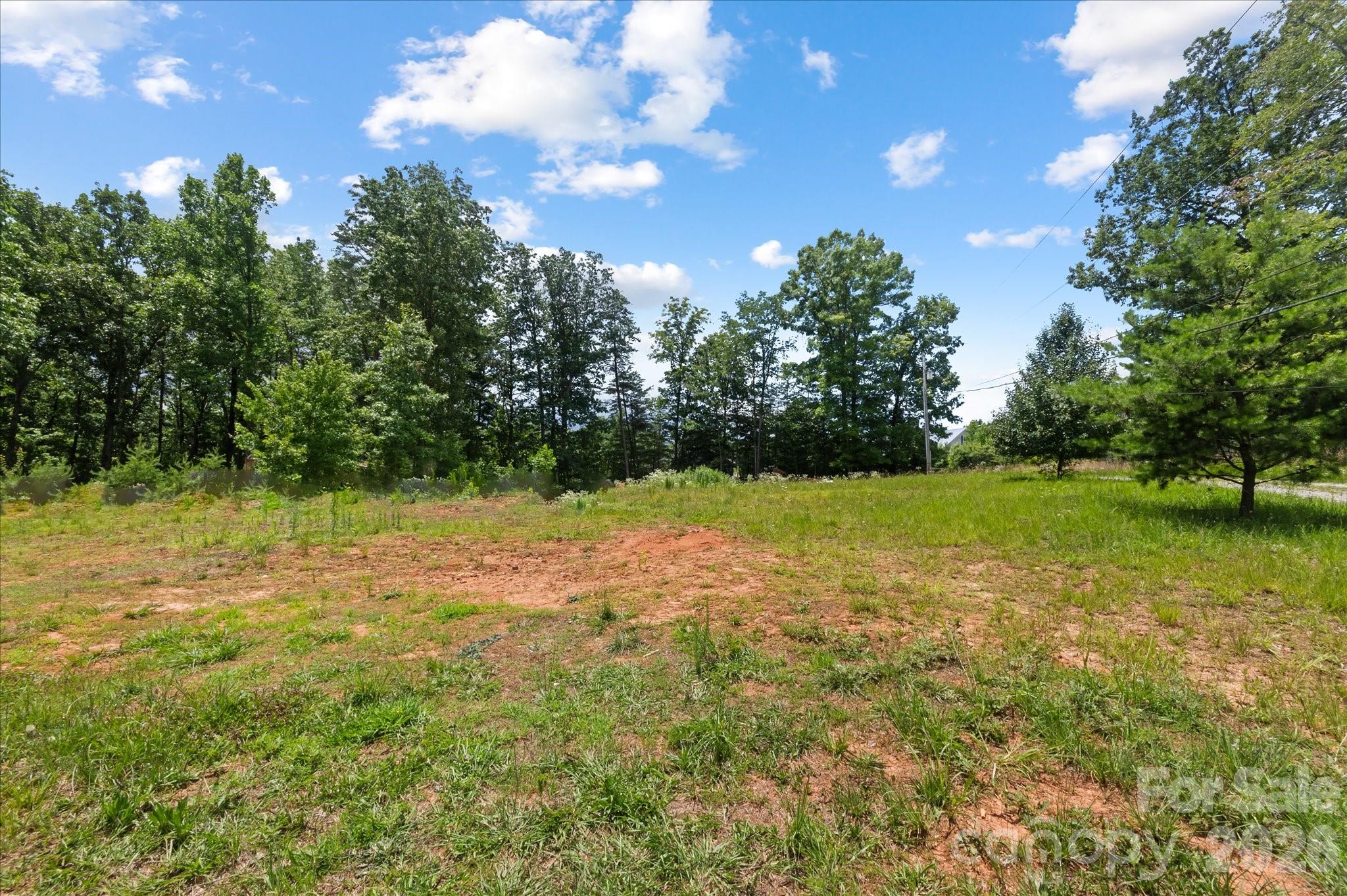 1223 Deer Park Road — Nebo