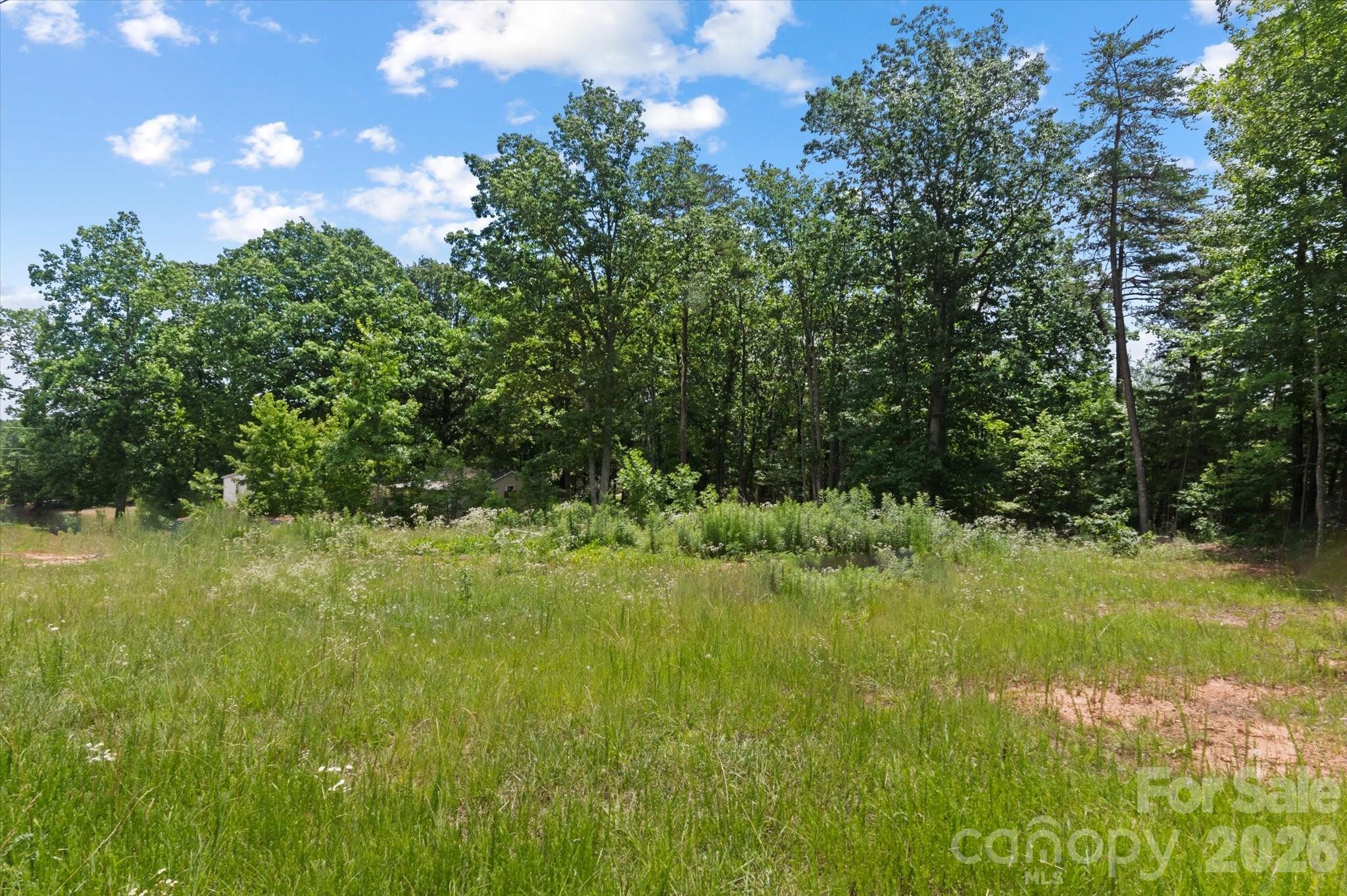 1223 Deer Park Road — Nebo