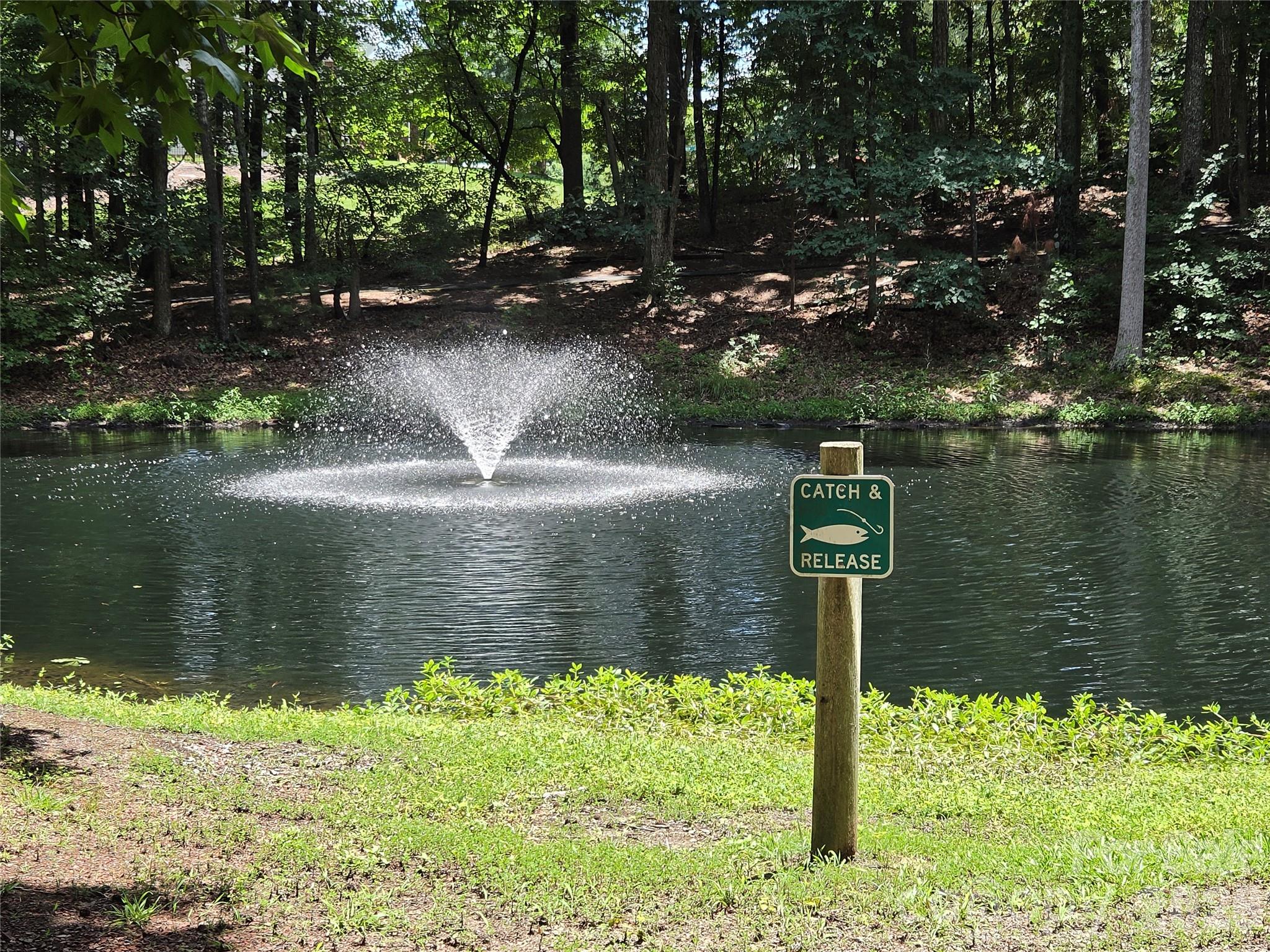 109 Oak Grove Court — Fort Mill
