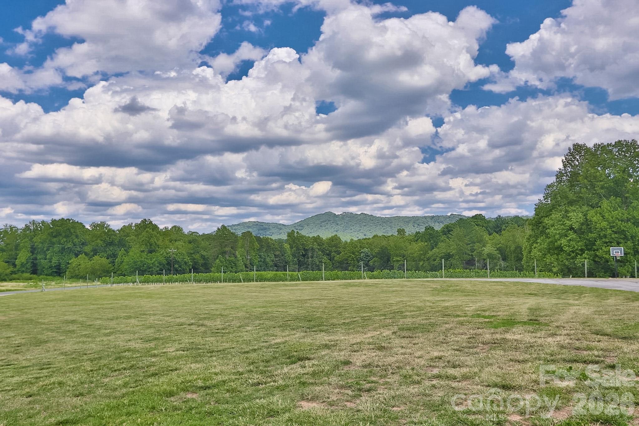 2726 Cedar Forest Road — Ronda