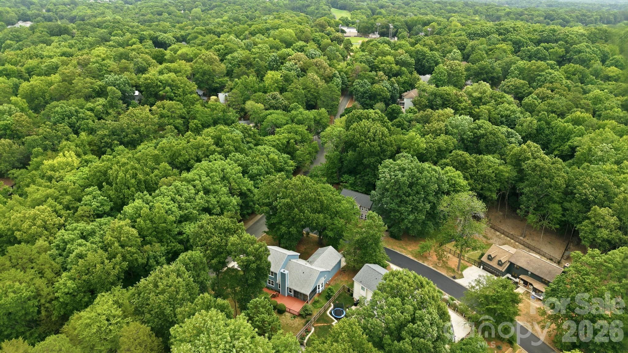 7038 Chelsea Day Lane — Tega Cay