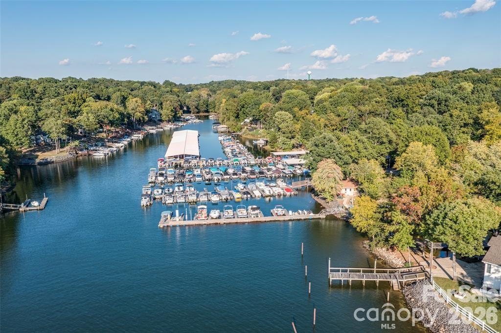7038 Chelsea Day Lane — Tega Cay