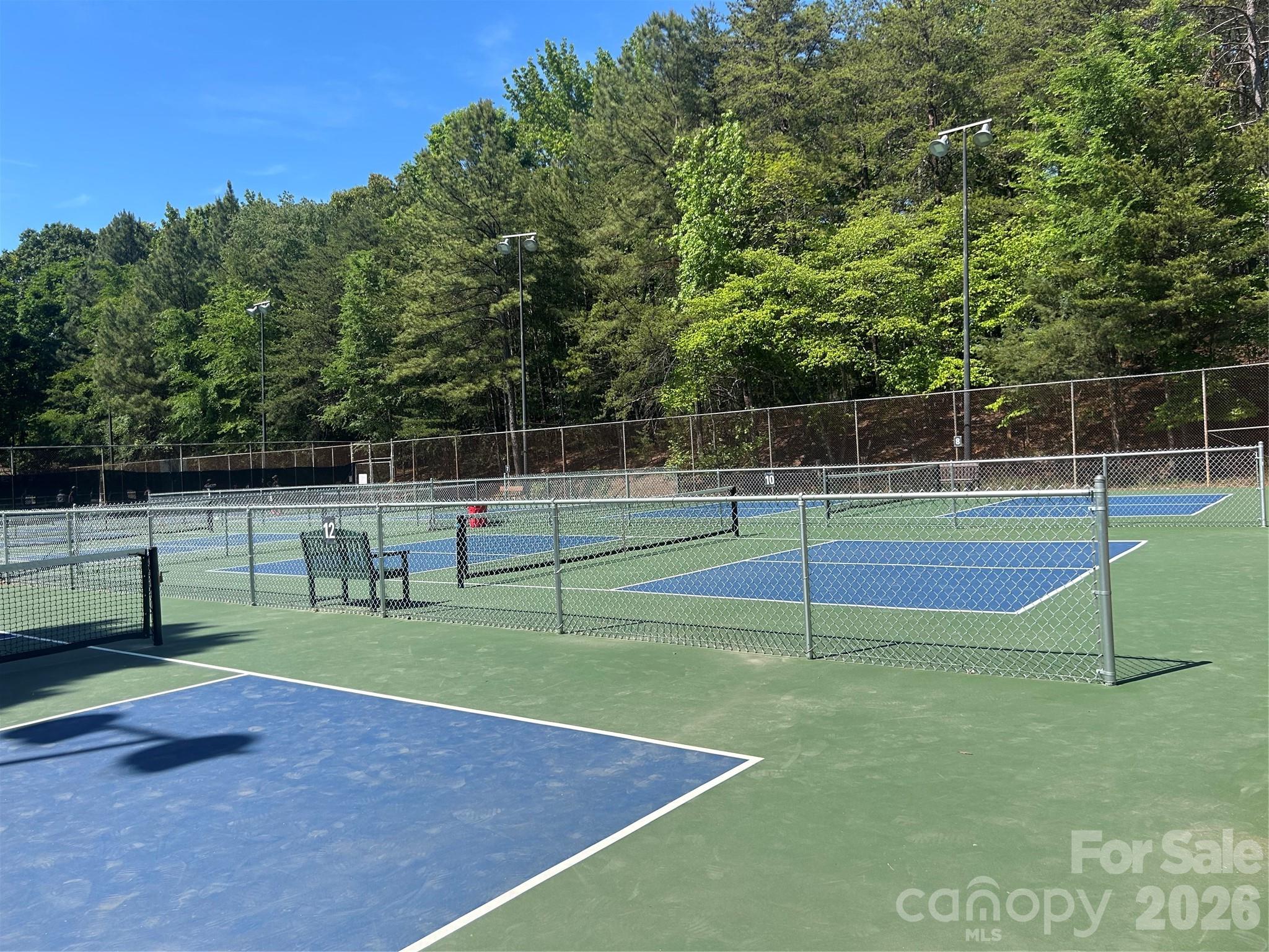 7038 Chelsea Day Lane — Tega Cay