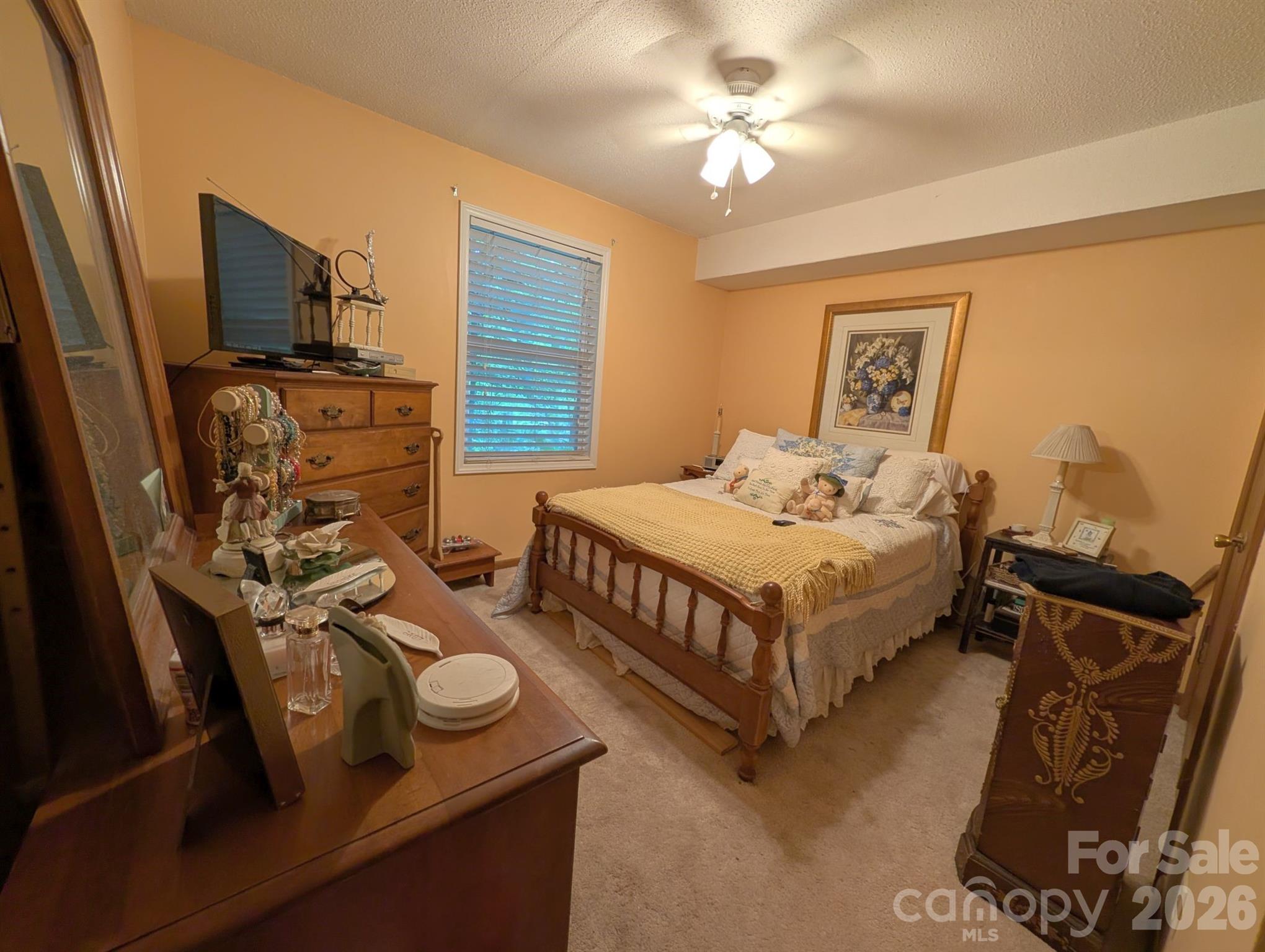 215 Swamp Fox Drive — Fort Mill