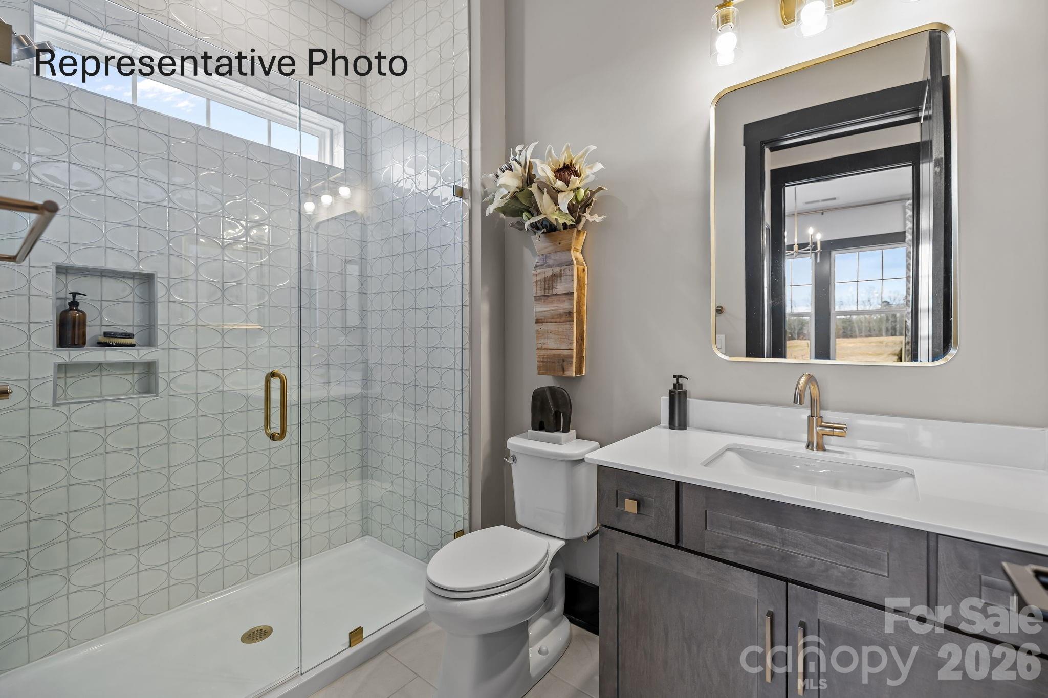 451 Pitch Pine Street — Fort Mill
