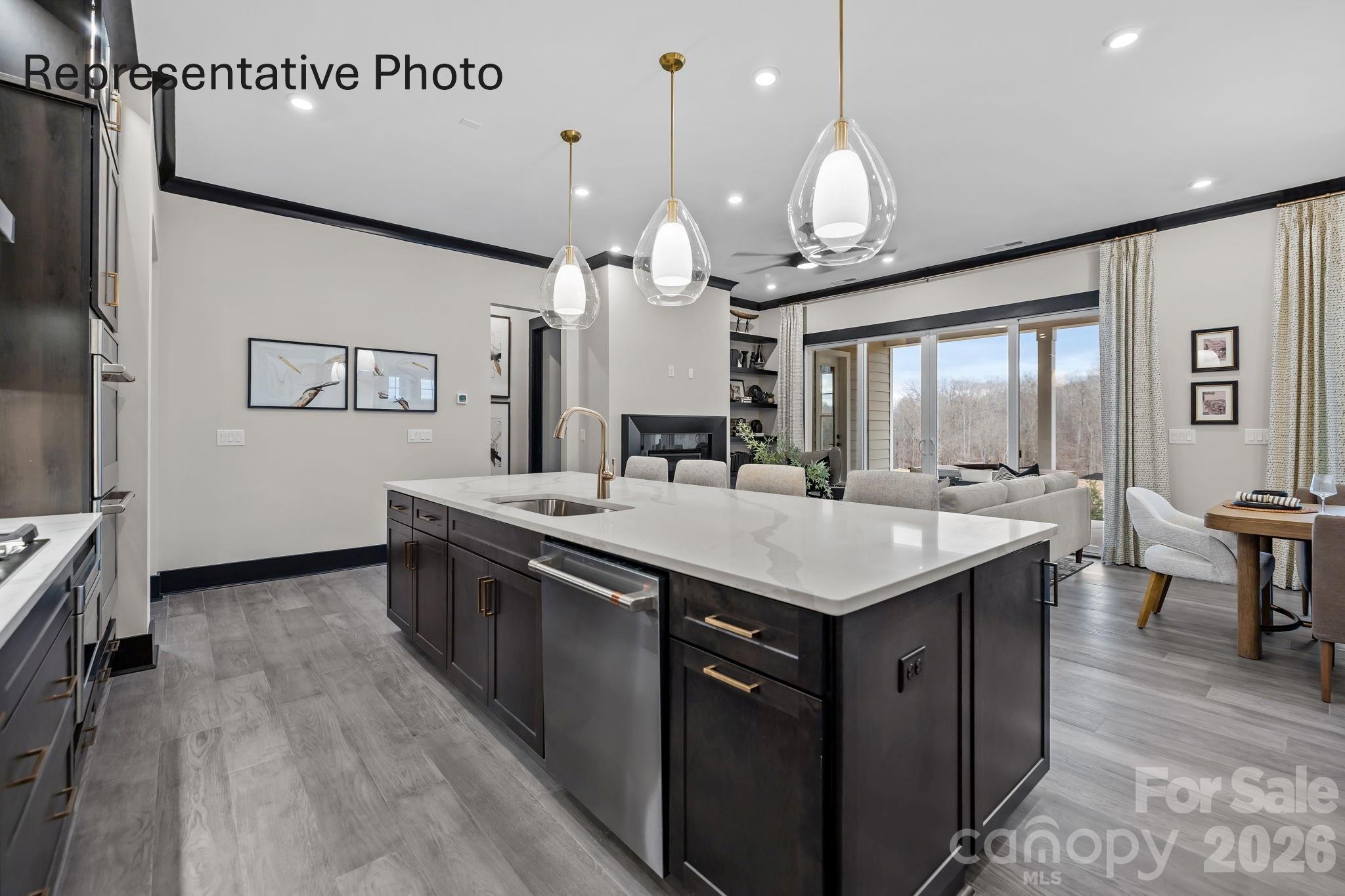 451 Pitch Pine Street — Fort Mill