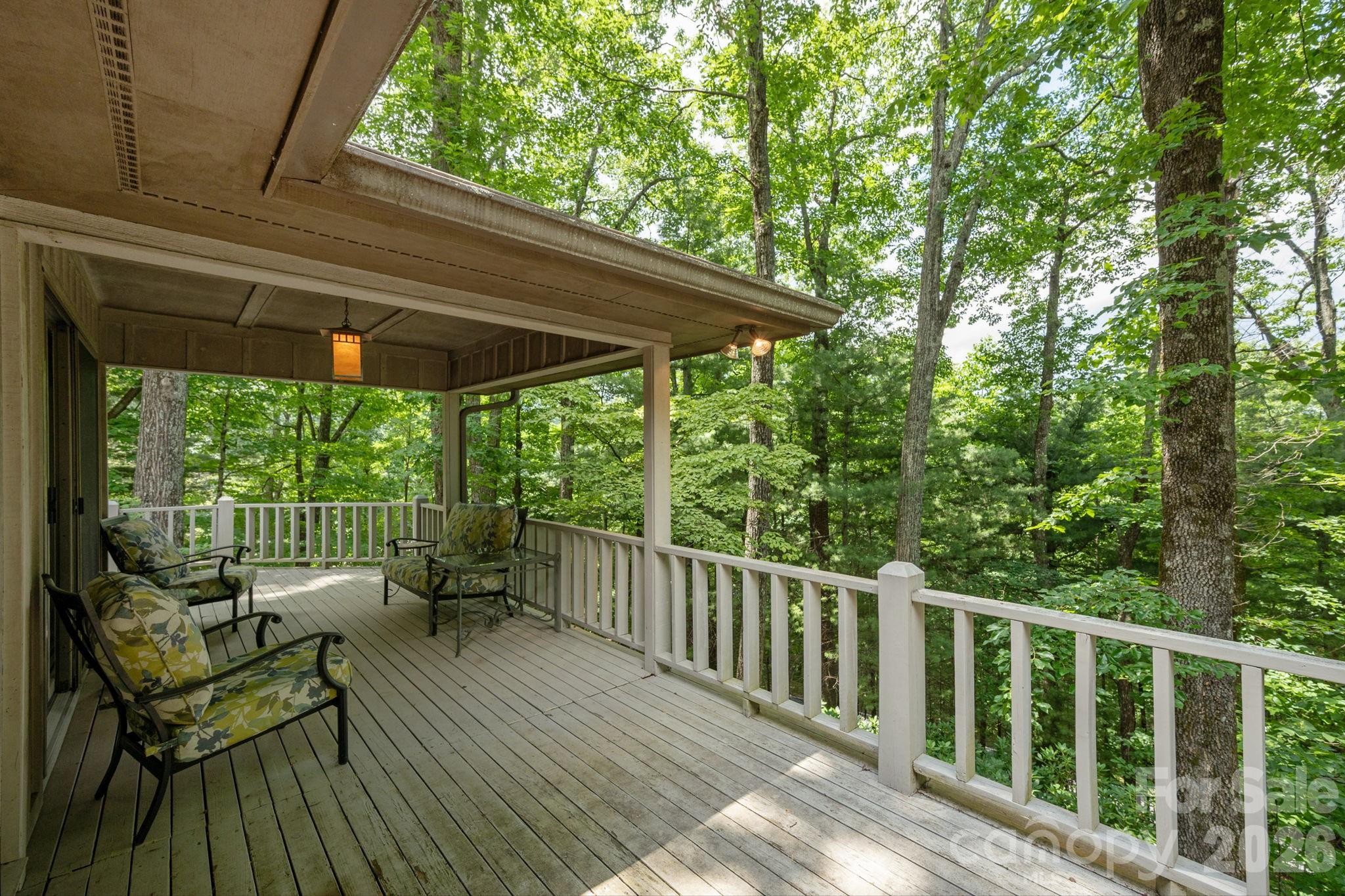 117 Tarnhill Drive — Flat Rock