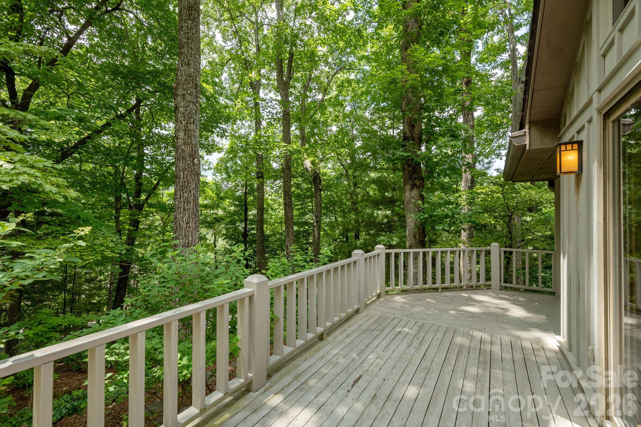 117 Tarnhill Drive — Flat Rock