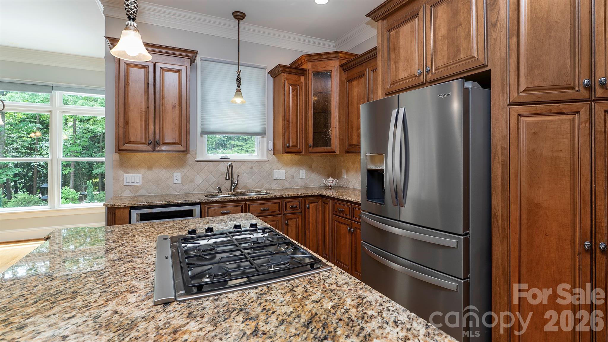 4293 Soaring Eagle Cove Court — Denver